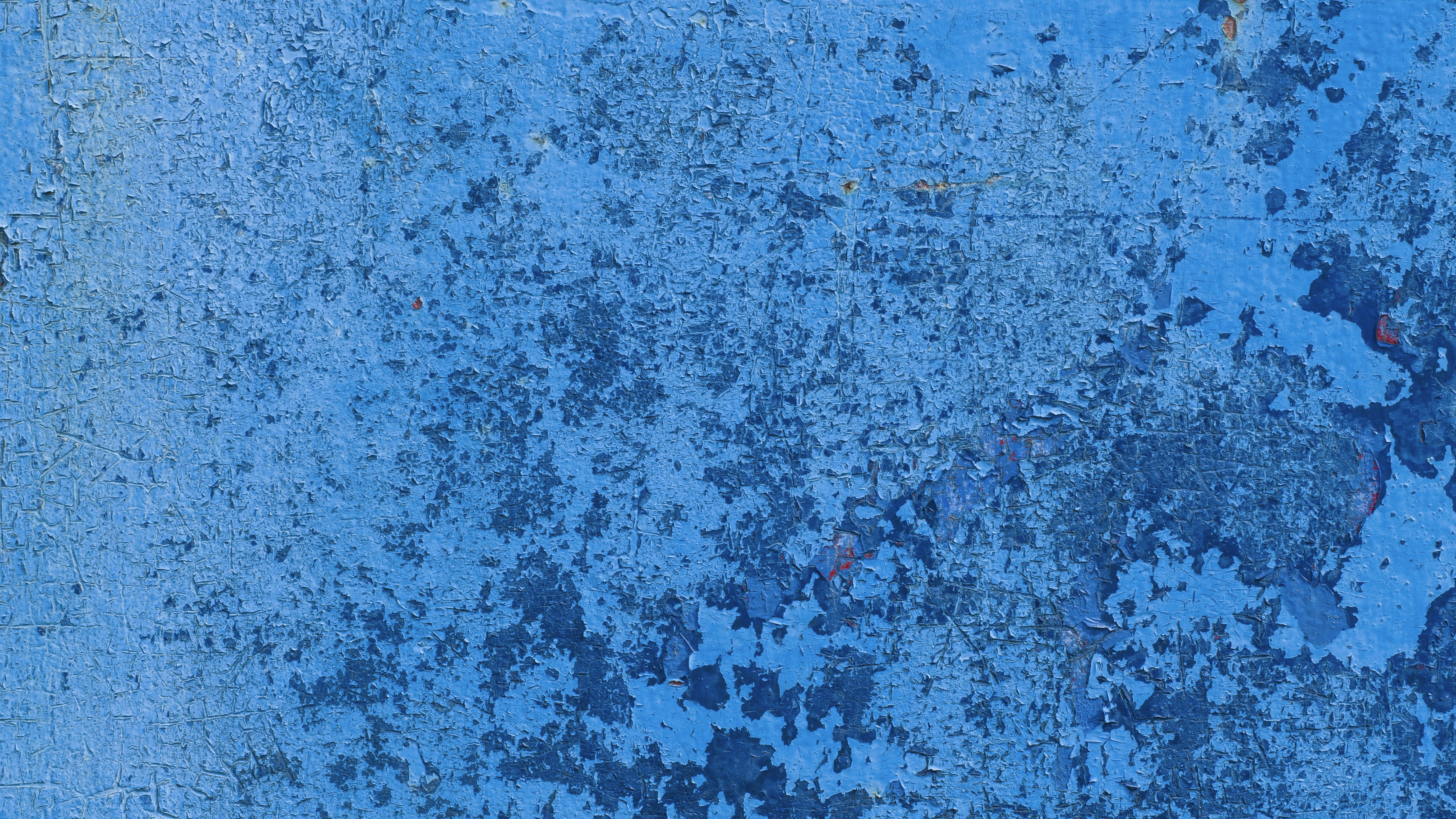 Photo by rhubbardstockfootage