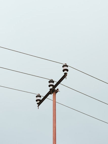 a pair of birds on a power line