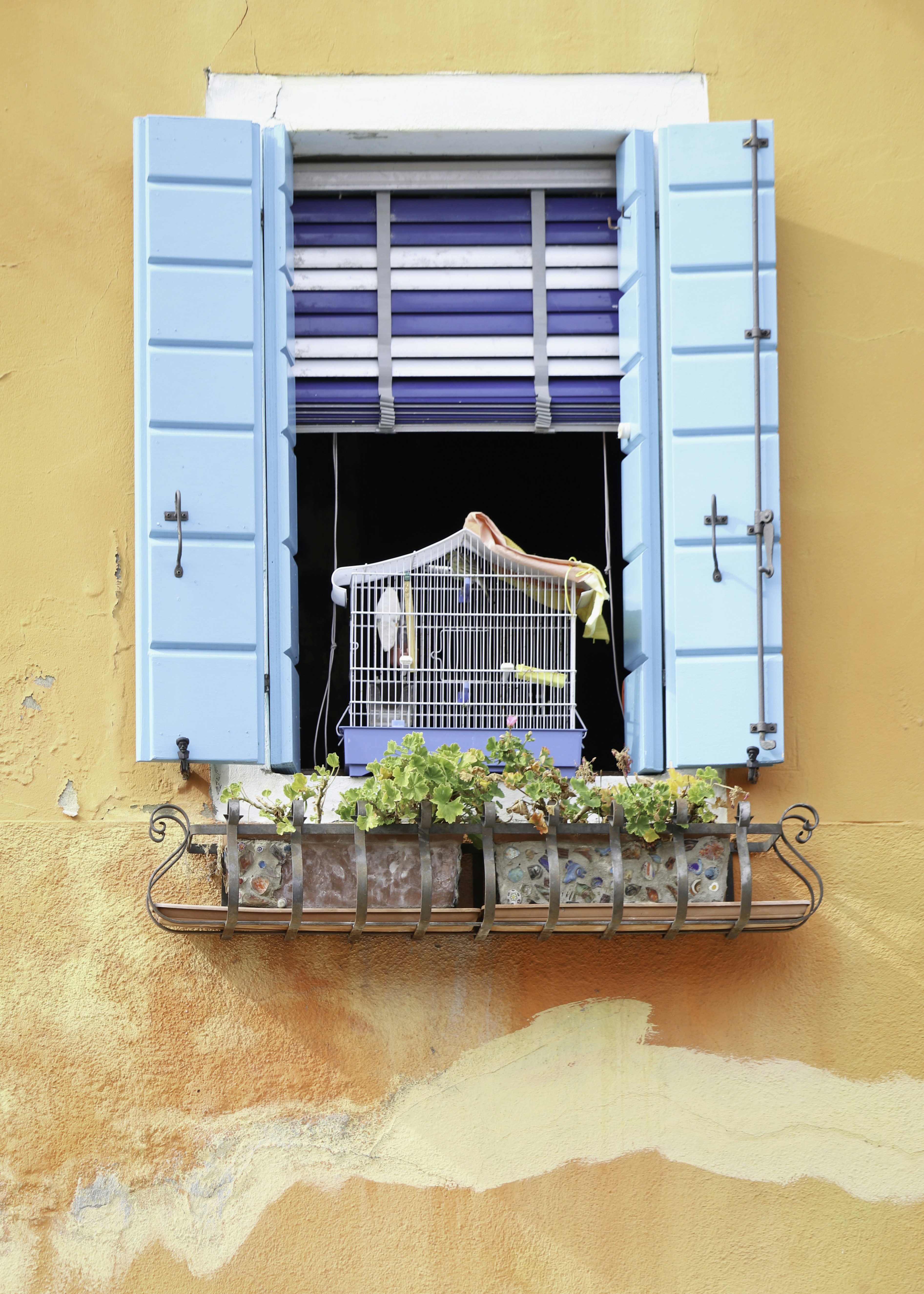 a window with a curtain and flowers