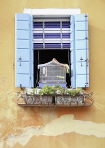 A rustic window with light blue shutters is set against a textured mustard-yellow wall. Below the open window, a small metal railing holds decorative stone planters filled with green plants. Inside the open window sits a birdcage, with a striped blue and white blind partially drawn behind it.