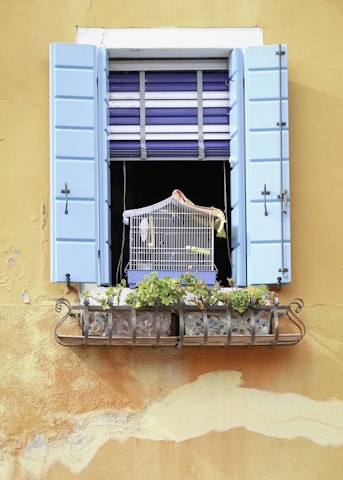 A rustic window with light blue shutters is set against a textured mustard-yellow wall. Below the open window, a small metal railing holds decorative stone planters filled with green plants. Inside the open window sits a birdcage, with a striped blue and white blind partially drawn behind it.