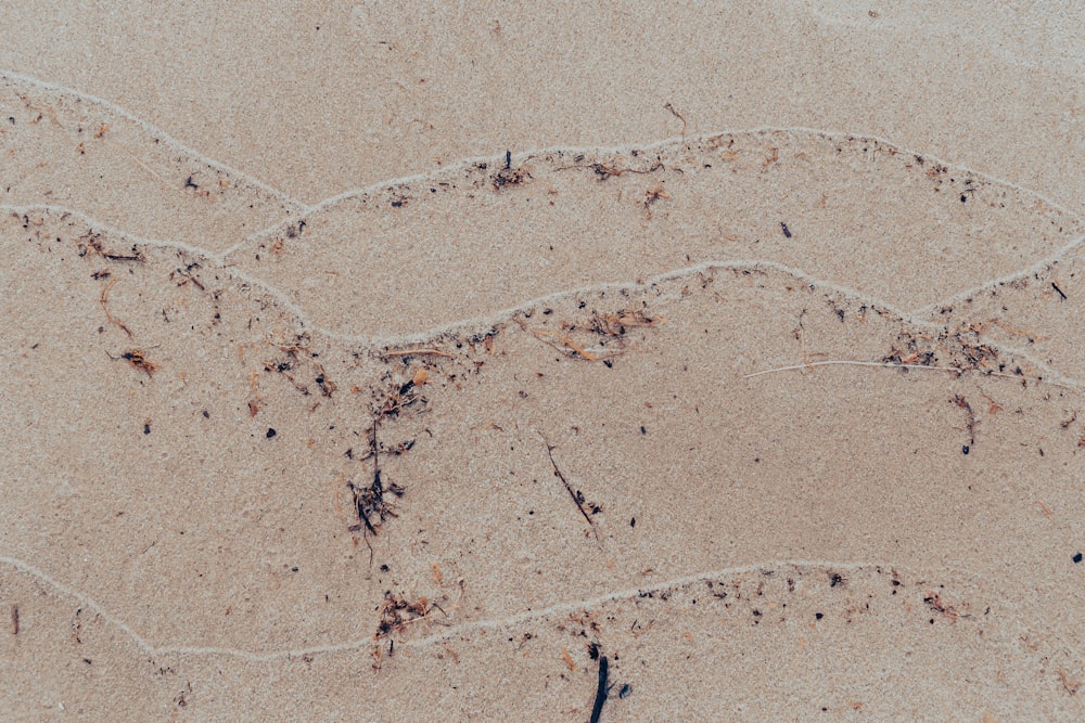 a close-up of a foot print