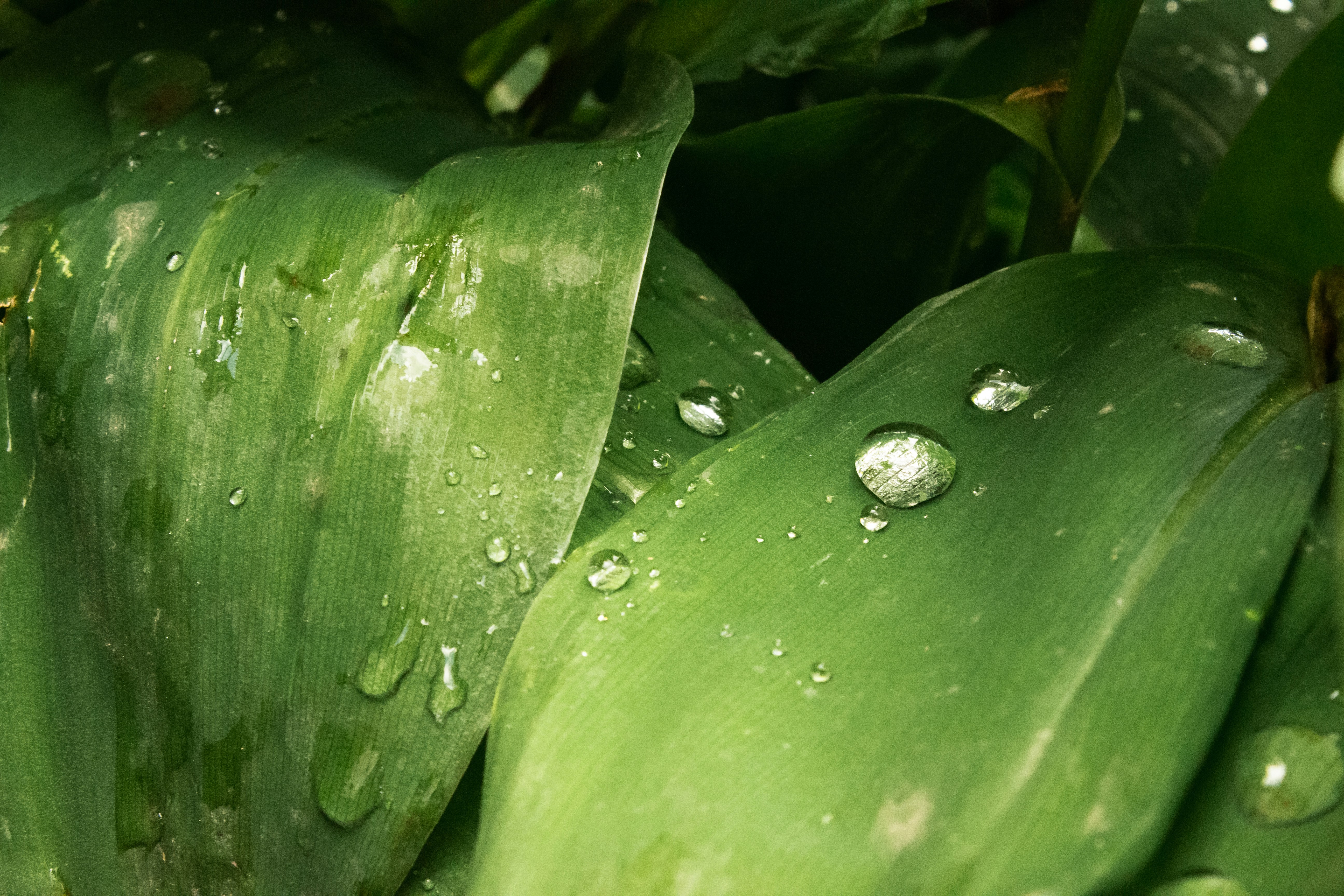 Photo by reanimatedmanx