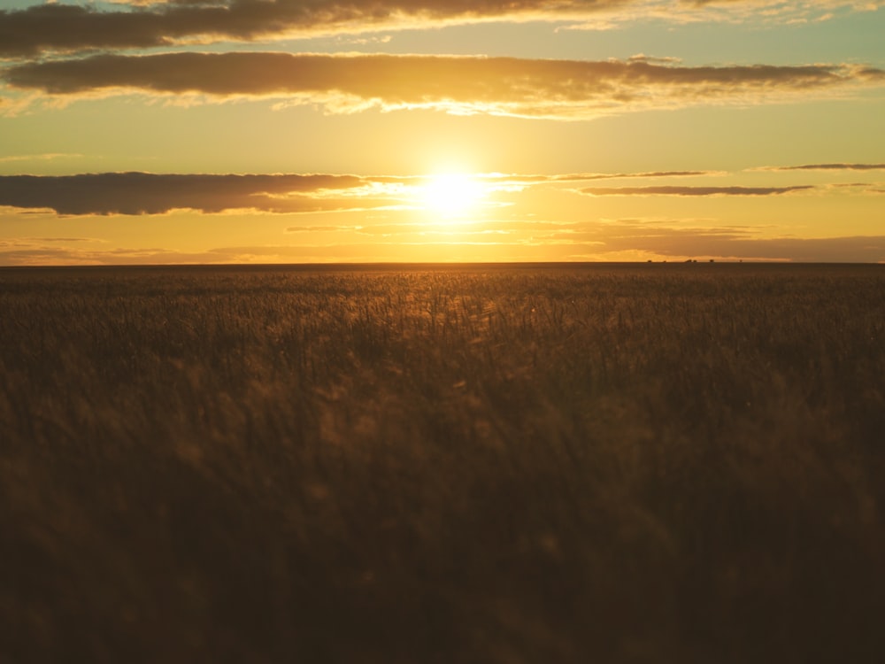 a field with the sun setting