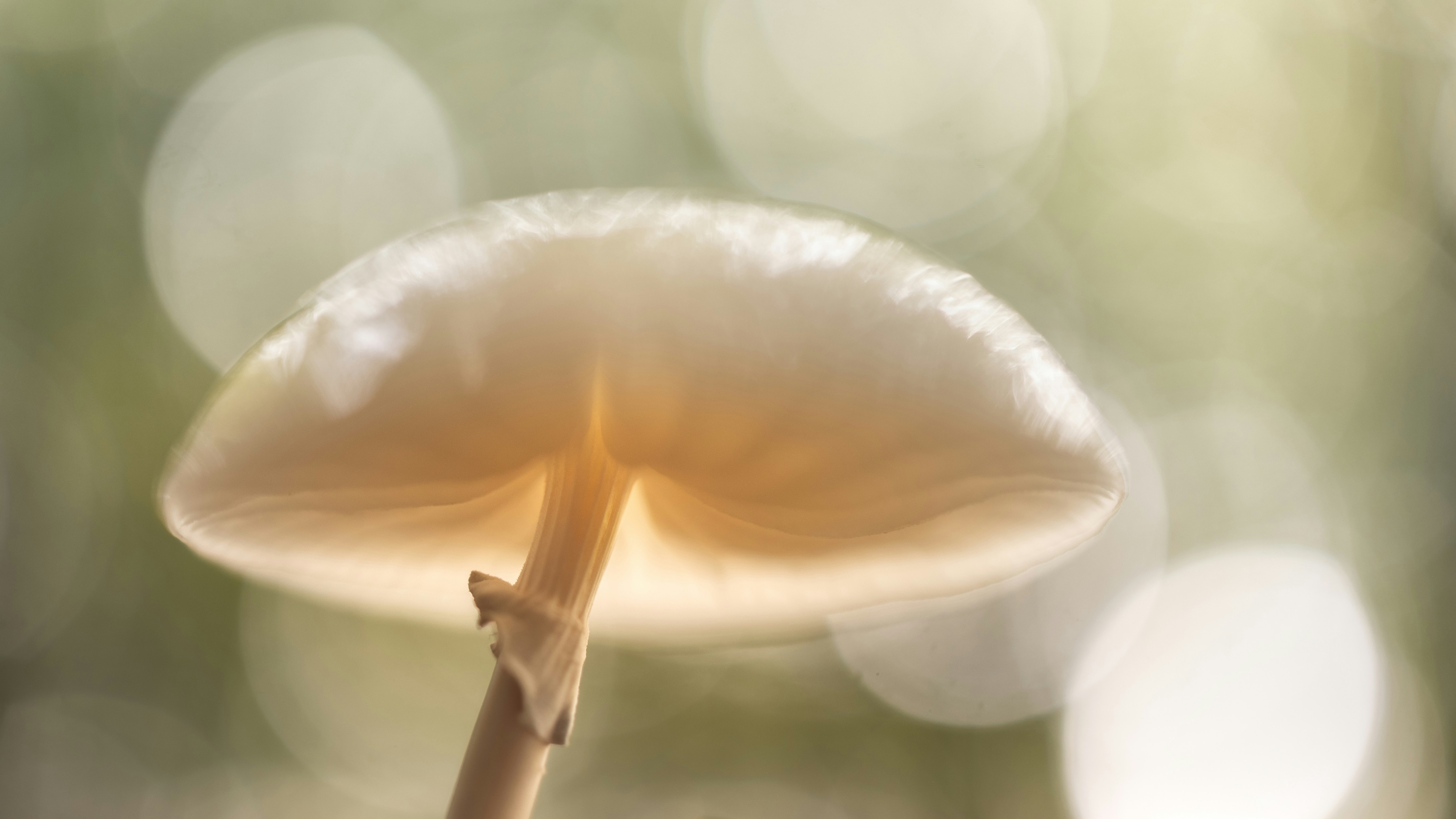 Photo by marekpiwnicki