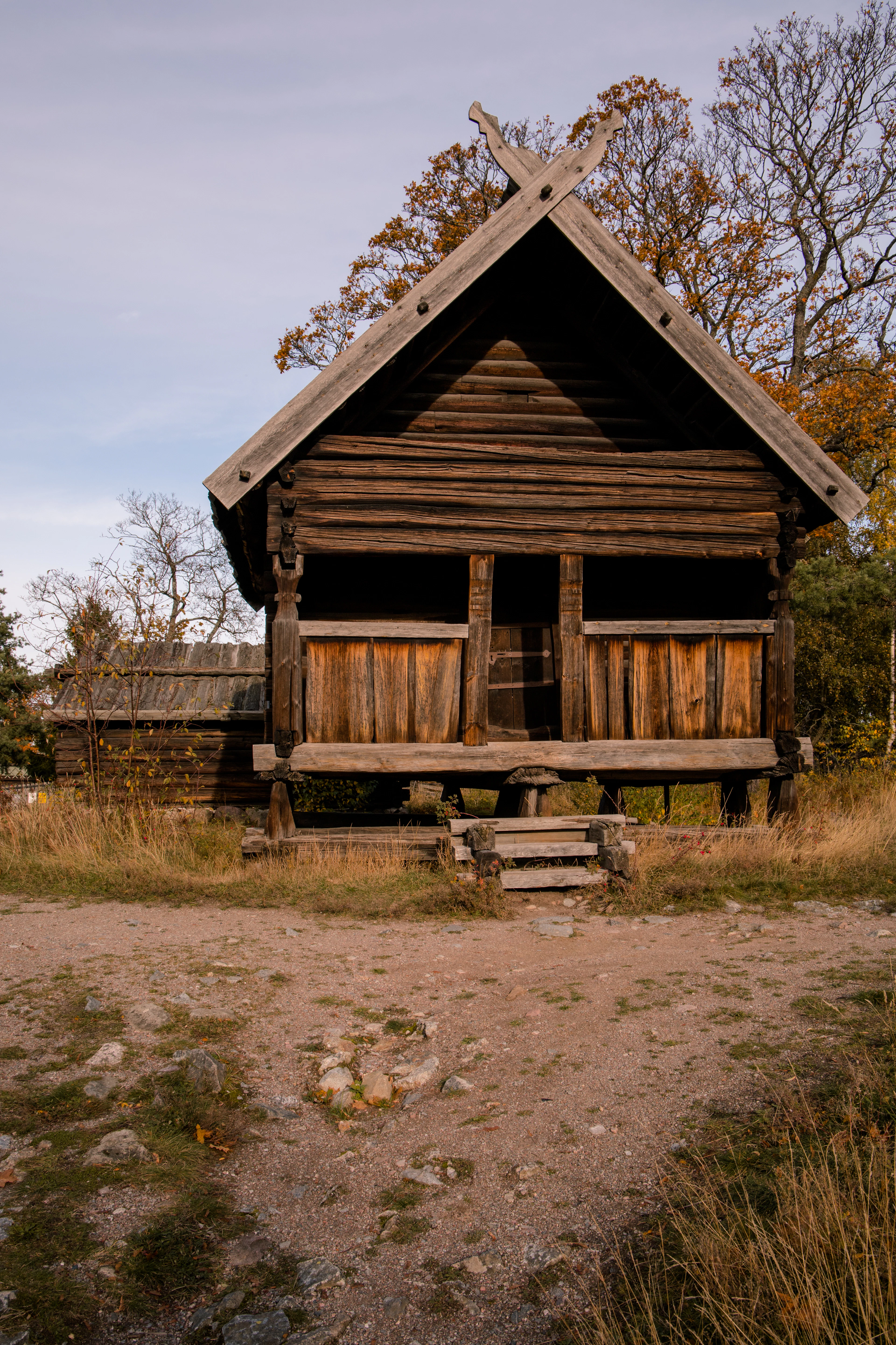 A weathered timber storehouse raised on stone footings with a steep shingled gable and crossed roof finials, standing in dry grass among autumn trees at Skansen in Stockholm.