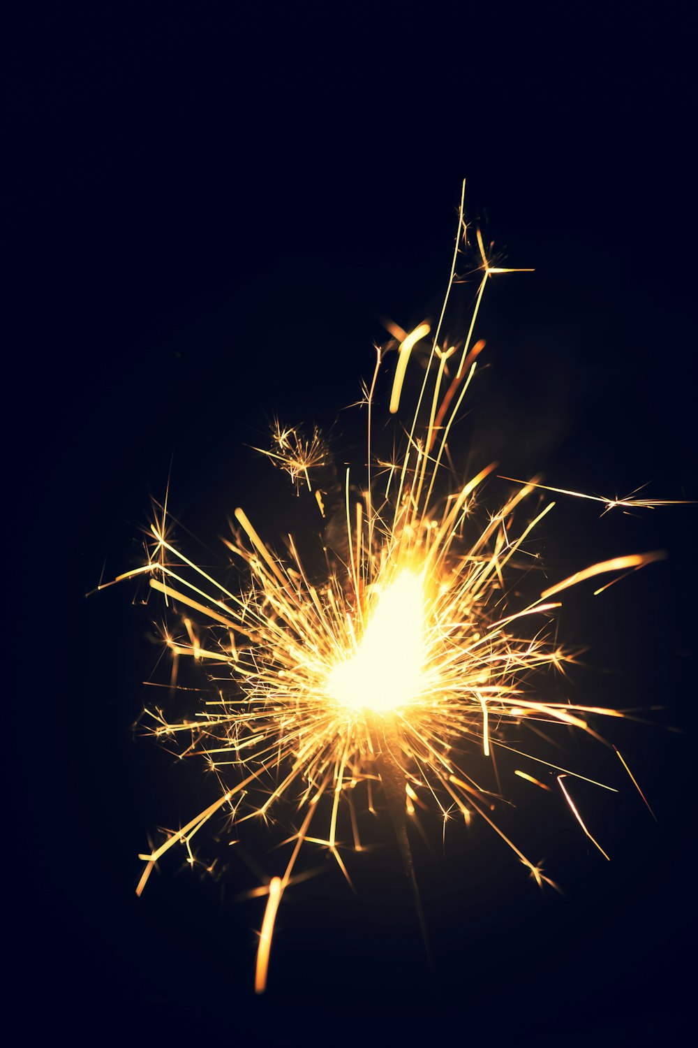 a firework exploding in the night sky