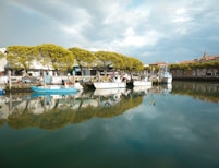 boats docked at a pier