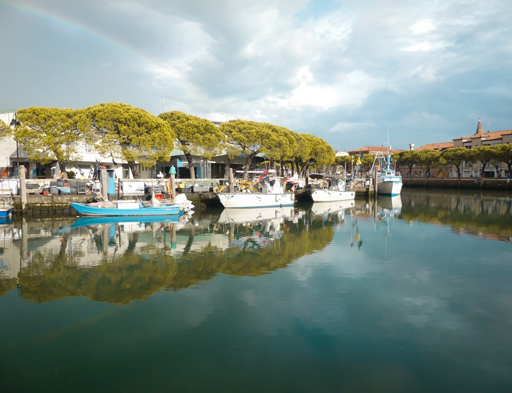 boats docked at a pier