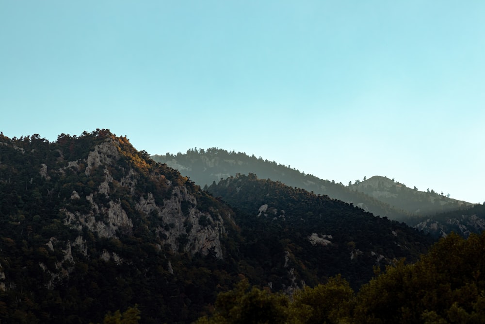 a mountain with trees on it