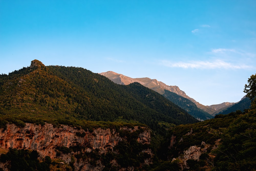 a mountain range with trees