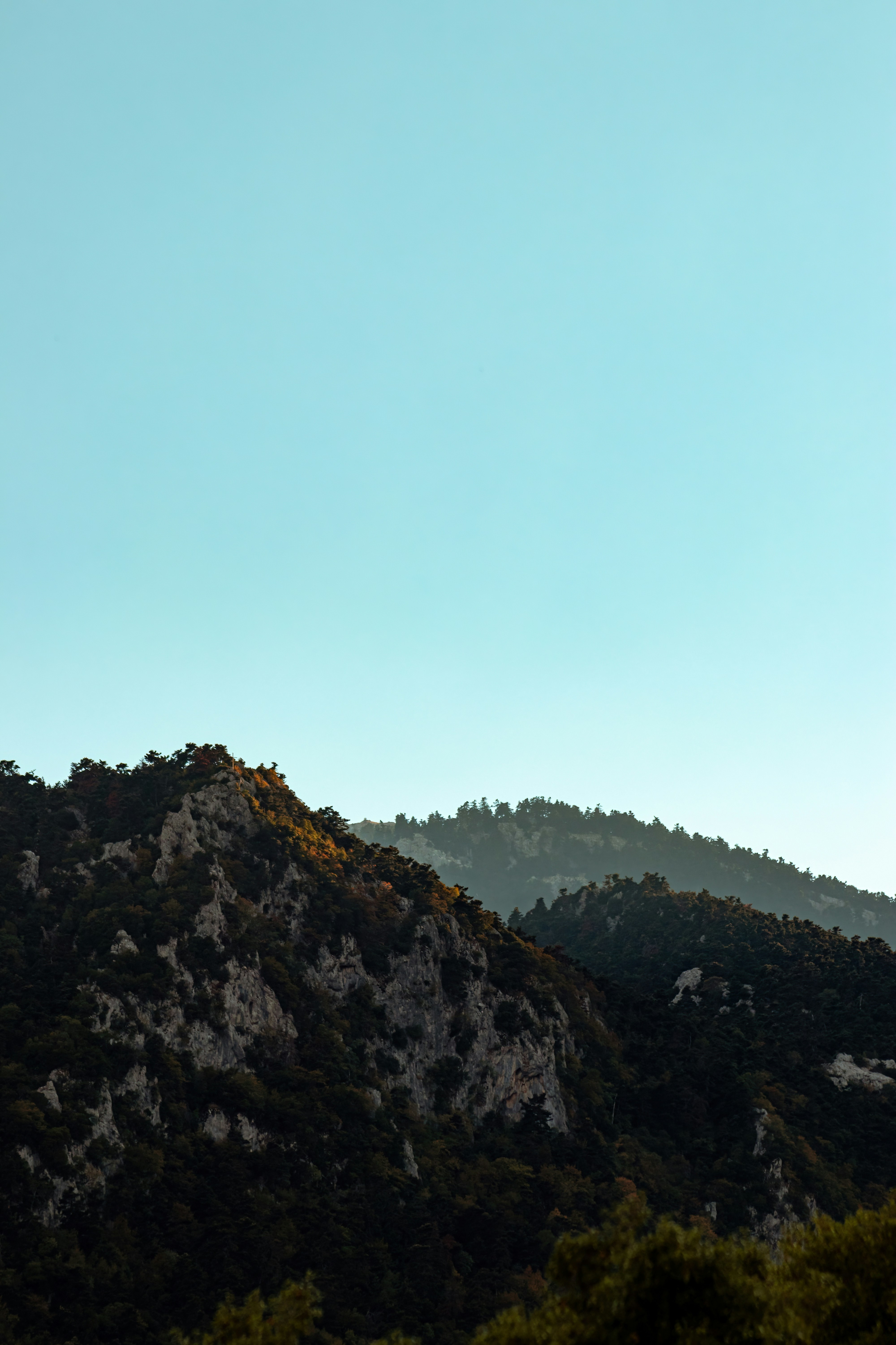 mountain forest wallpaper, wallpaper, Lone Wilderness Travel: Essential Safety Protocols 6