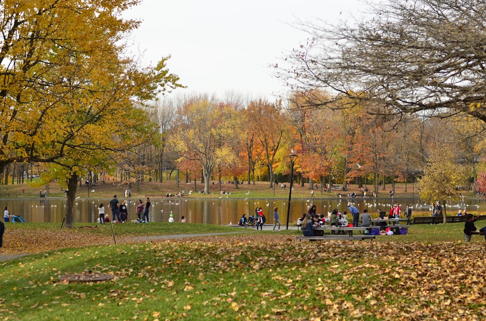 a group of people sitting on a bench by a lake