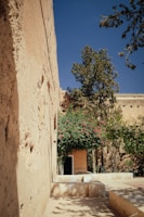 Sunlit courtyard of Sai Ashram Bhaktaniwas with blooming flowers and seating area.