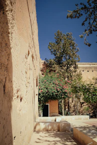 A sunlit courtyard featuring vibrant flowers and neatly trimmed shrubs, tools resting nearby.
