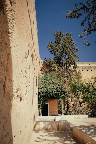 A sunlit courtyard featuring vibrant flowers and neatly trimmed shrubs, tools resting nearby.
