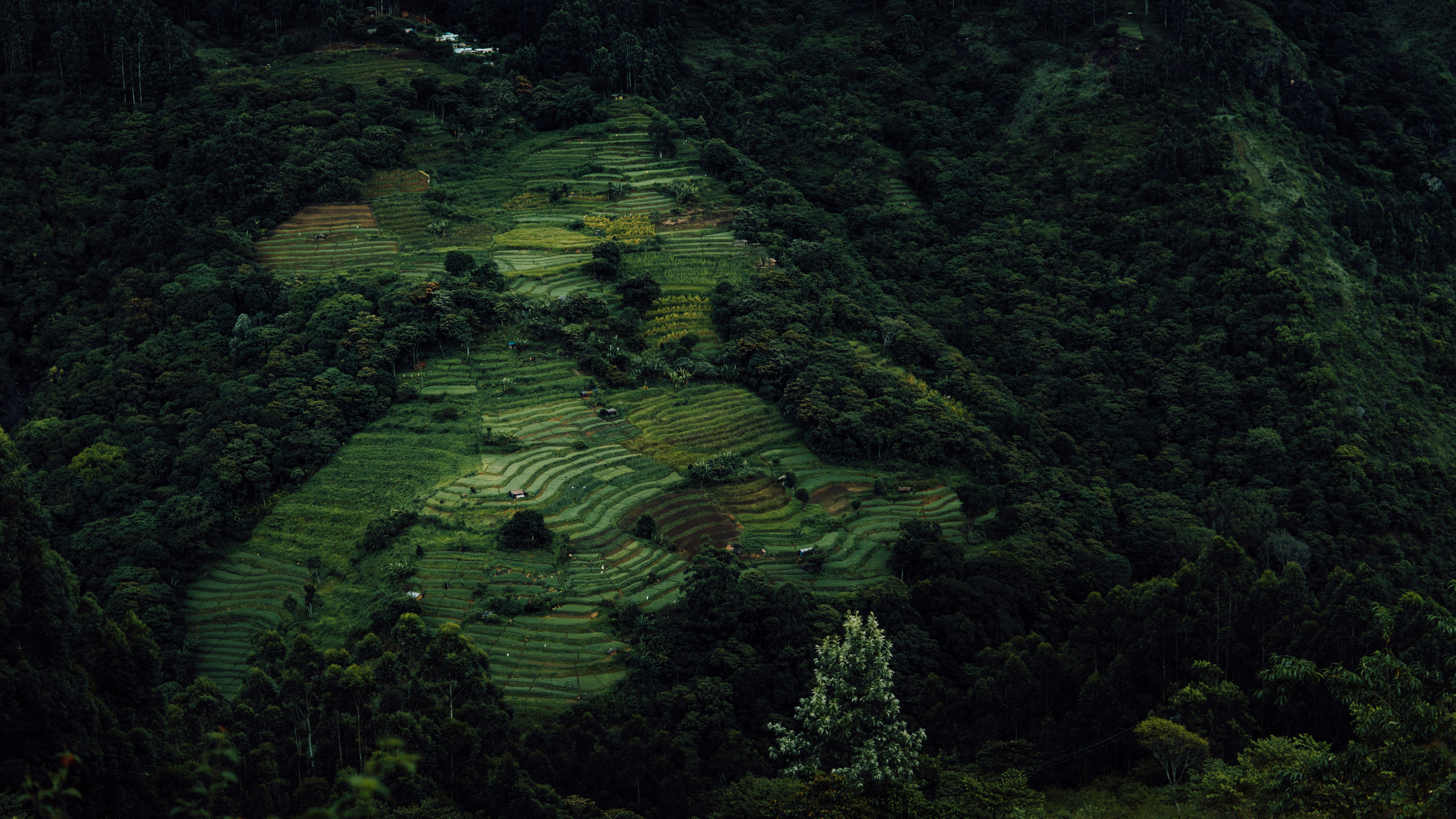 A satellite image showing a stark contrast between a rapidly developing urban/agricultural area and a shrinking patch of dense forest in Central India.