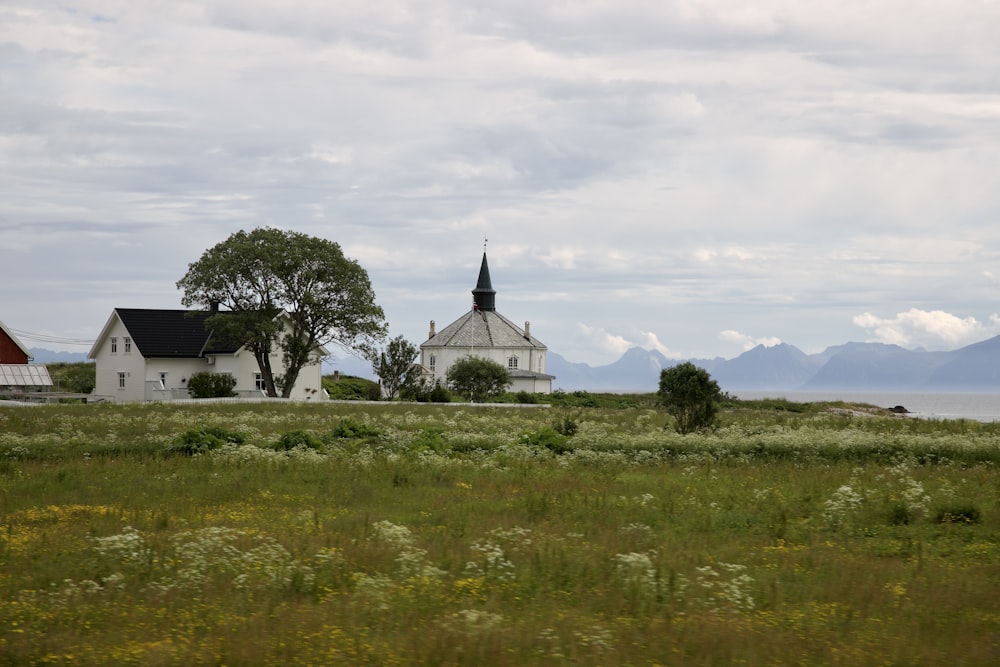 a field of grass with a building in the background