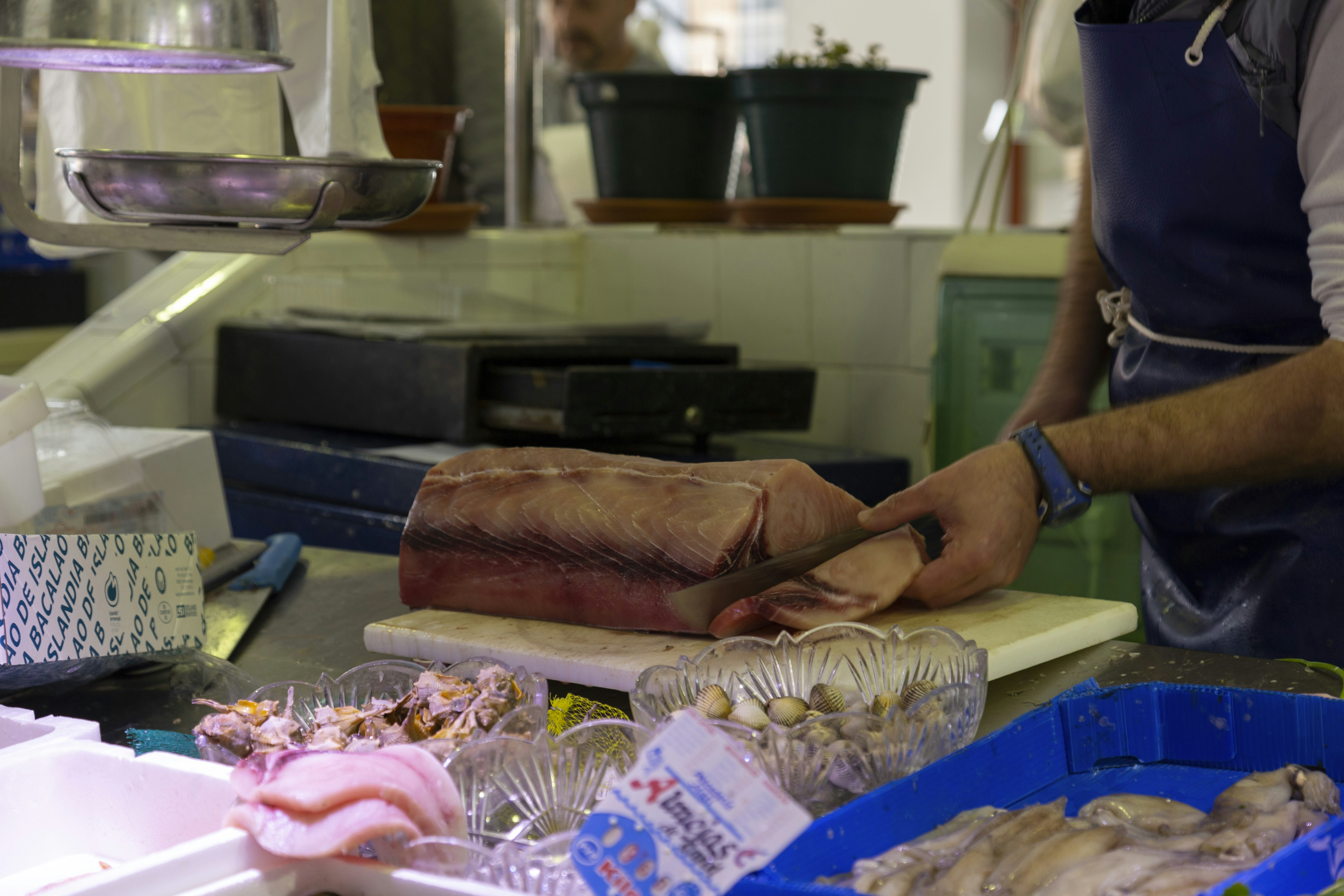 fresh tuna fish market, wallpaper, Keracunan Ikan Tongkol: Gejala, Penyebab, dan Penanganannya 4