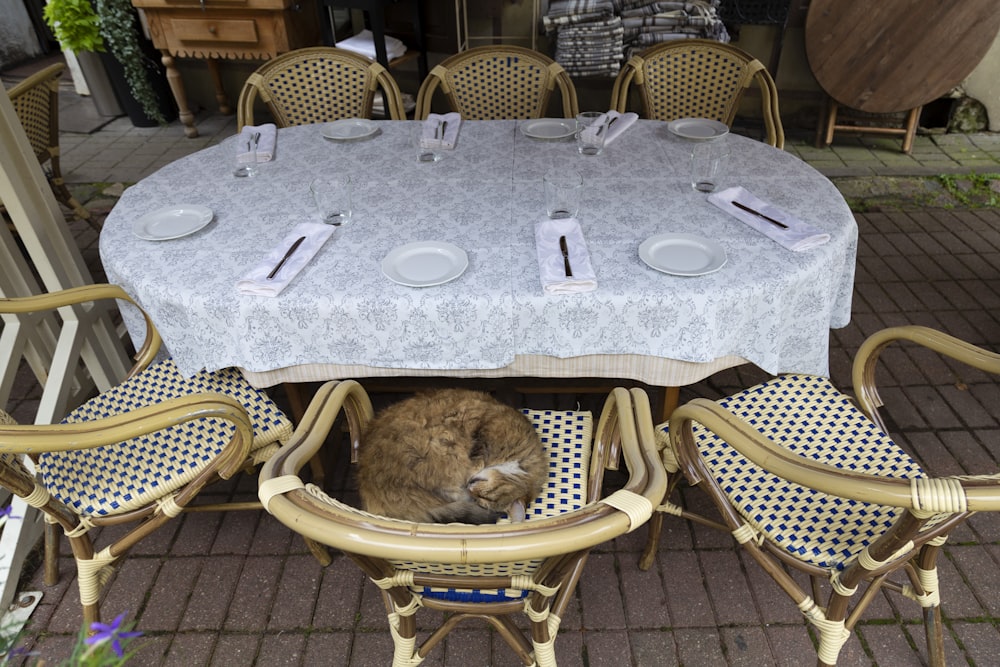a cat sleeping on a table