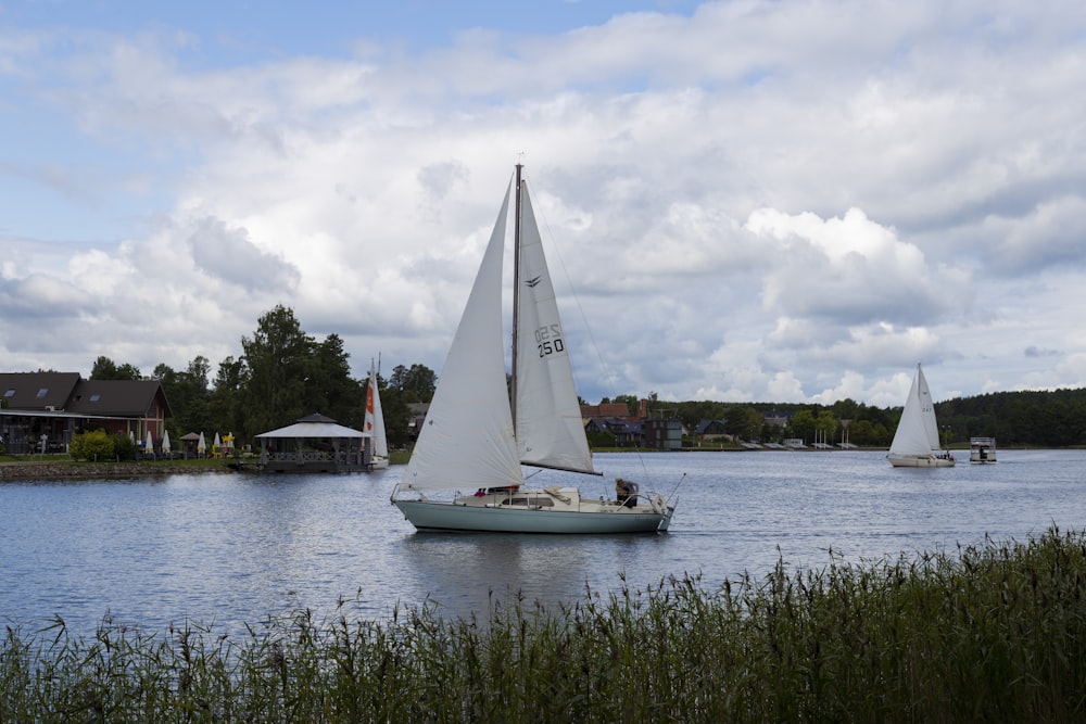 a group of sailboats on a lake