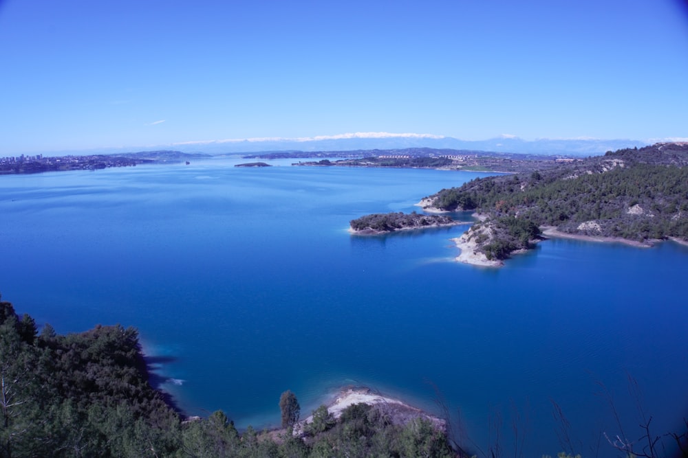 a body of water surrounded by trees