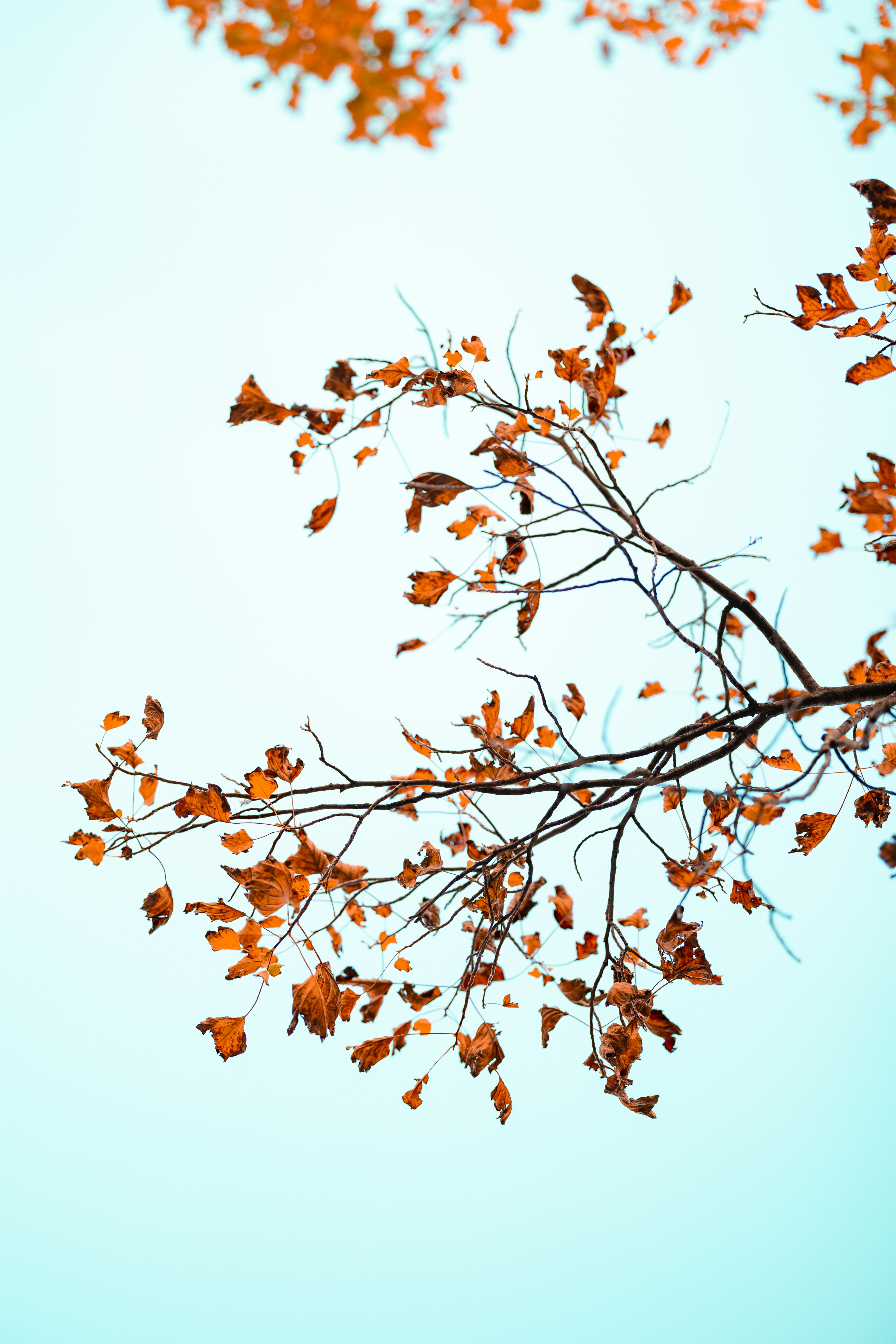 Photo by mohamadalnaimi