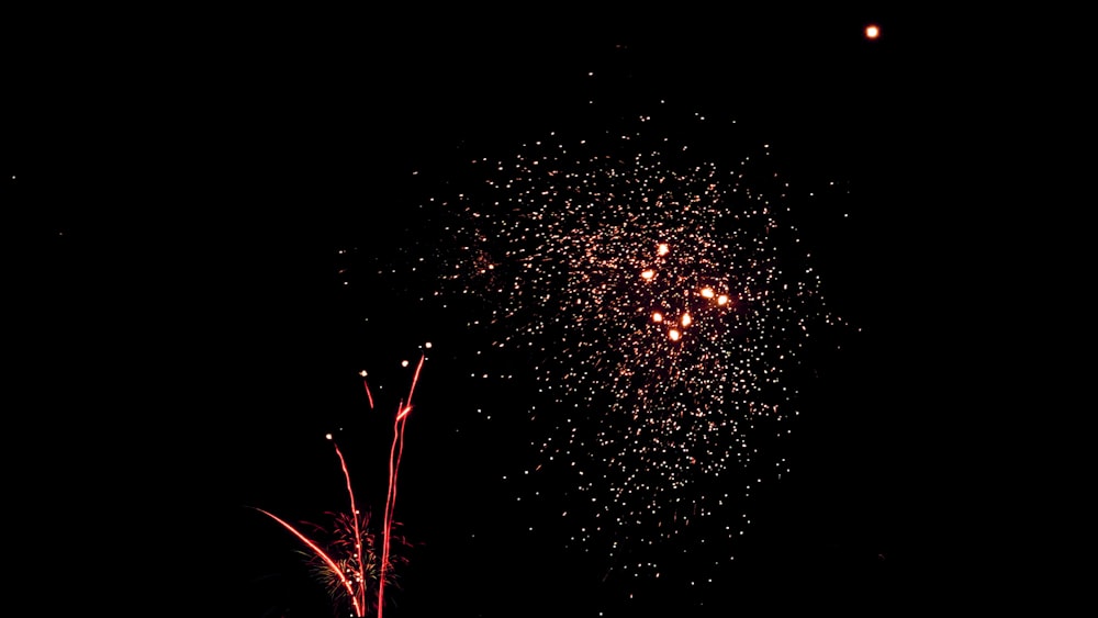 fireworks in the night sky