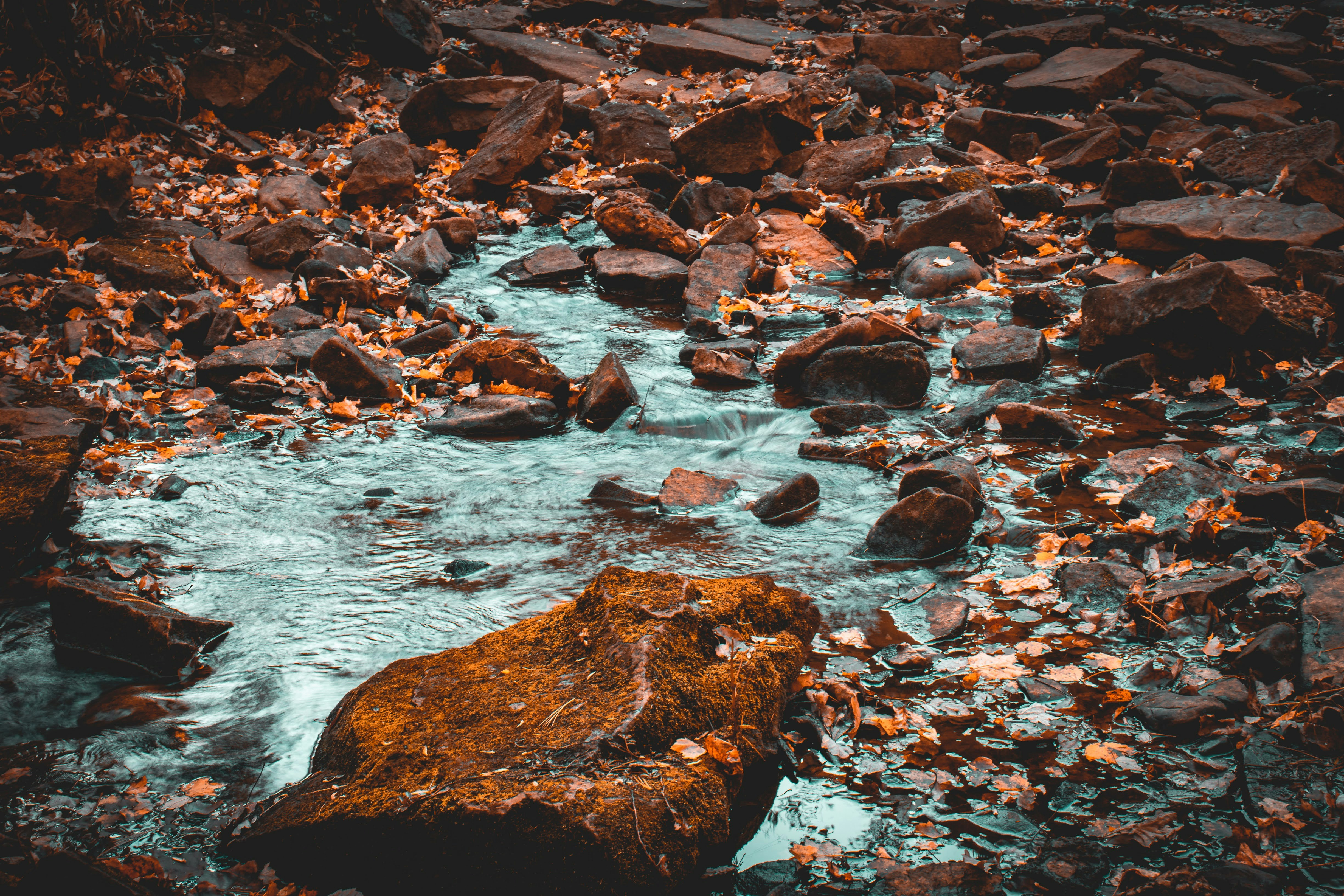 Photo by brice_cooper18