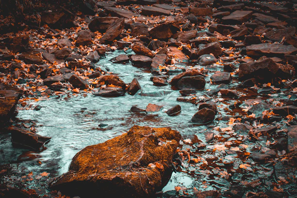 A serene creek flowing gently through a forest with sage green and chocolate brown tones accented by turquoise and copper highlights.