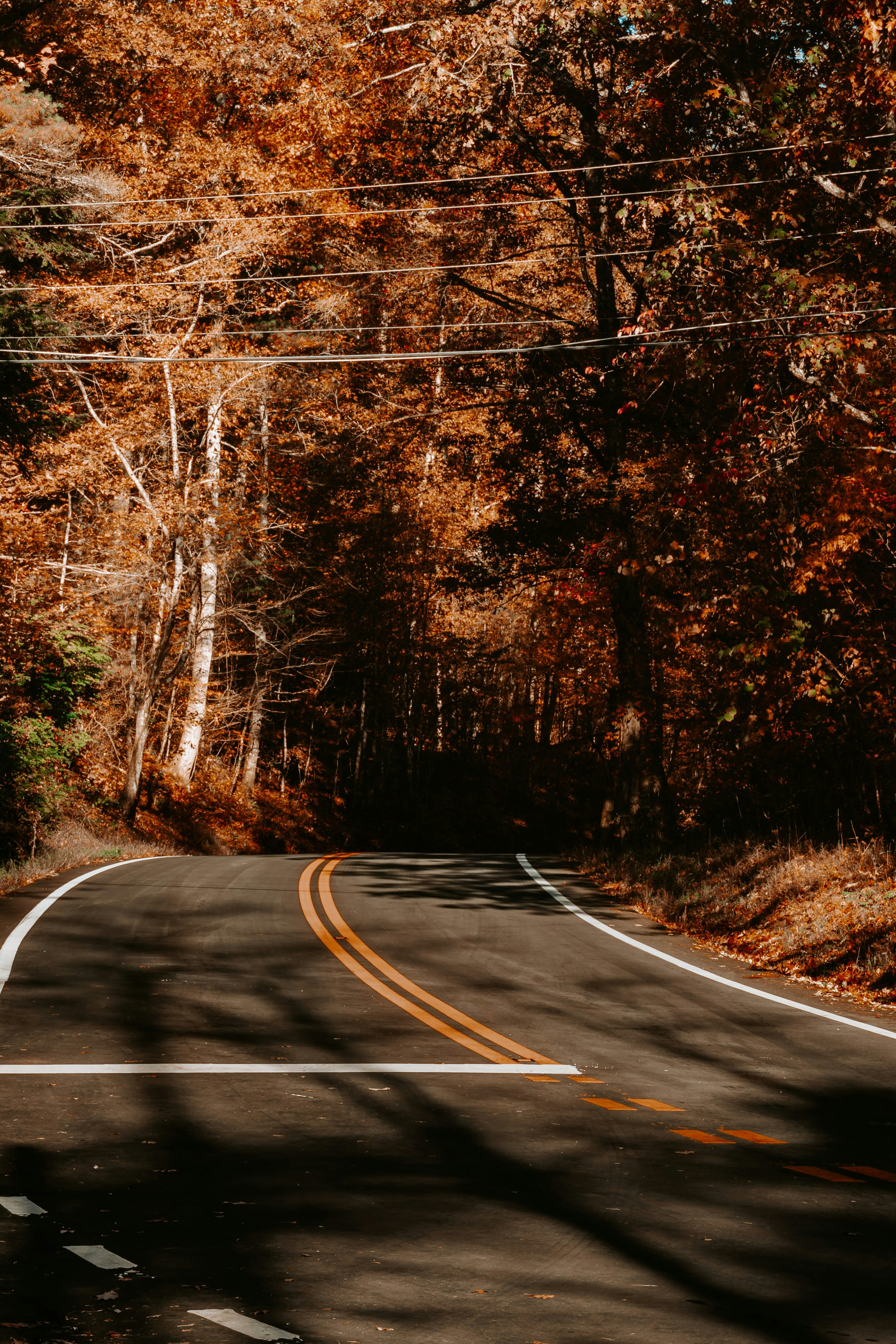 Photo by brice_cooper18