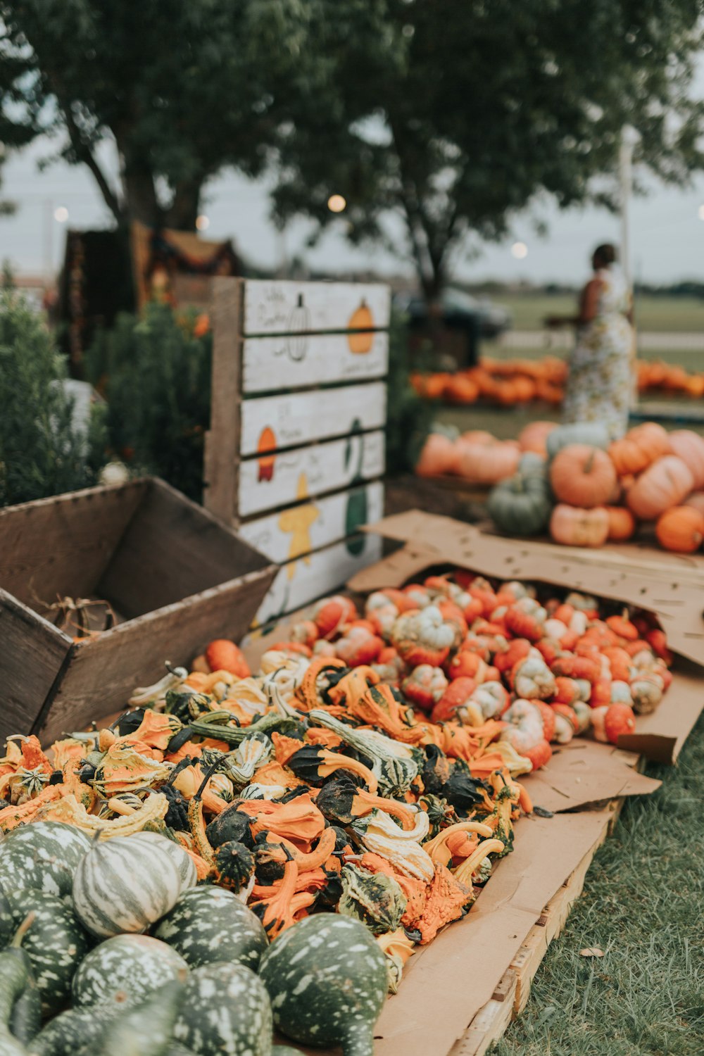 a group of vegetables in boxes