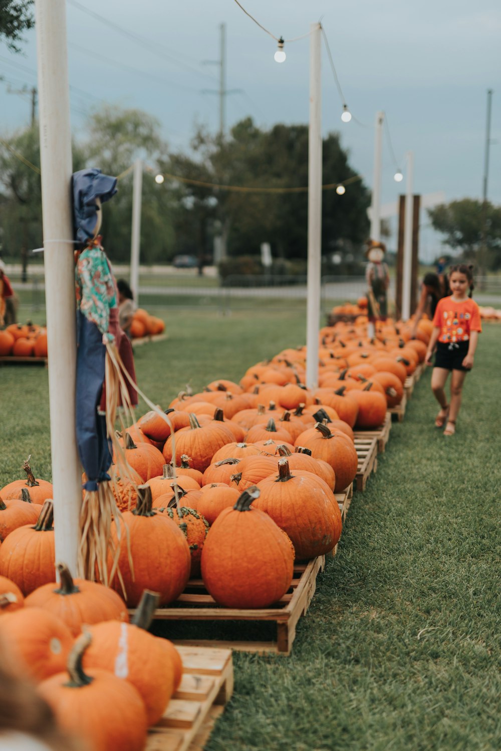 a group of pumpkins on a table