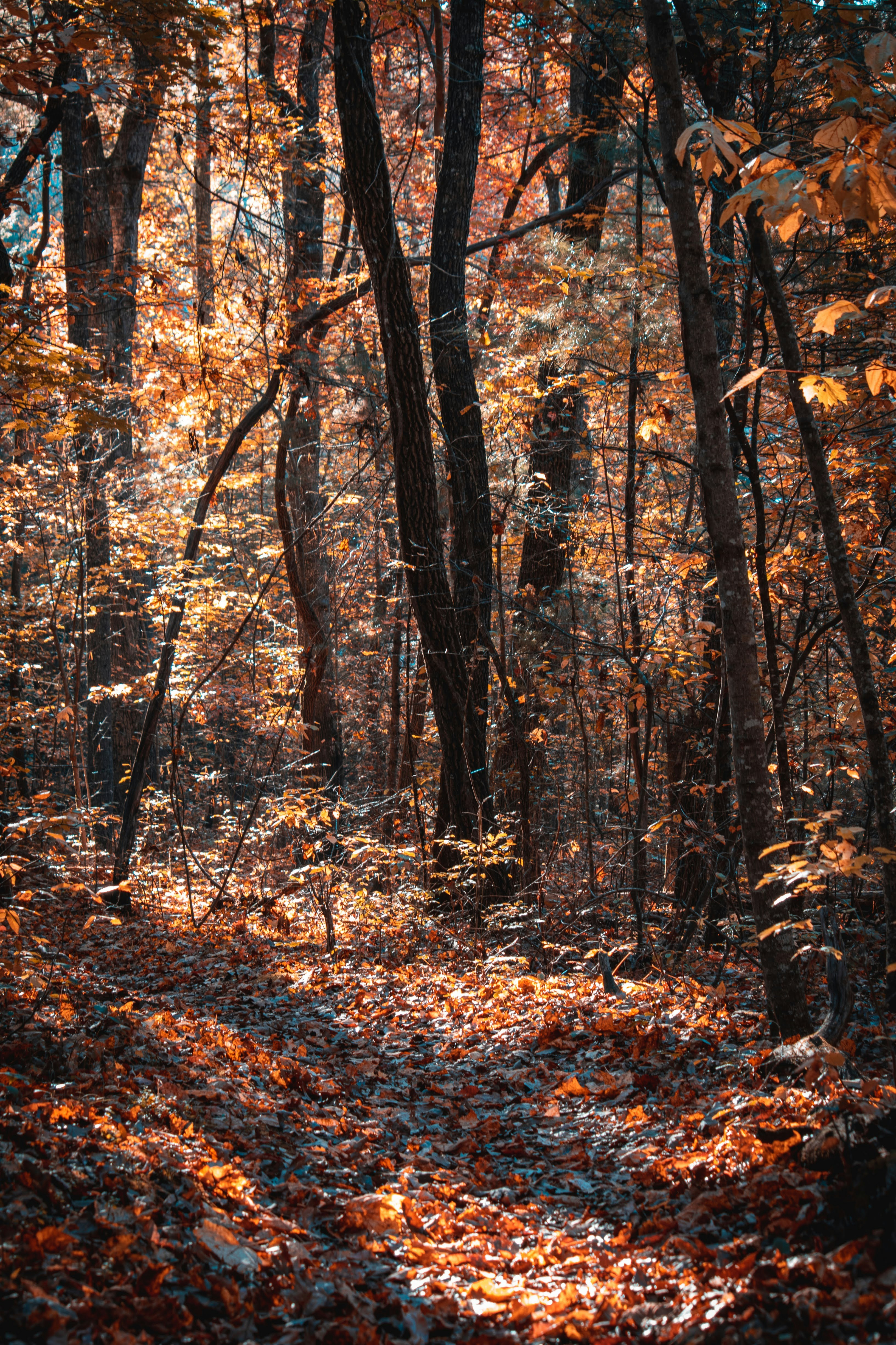 Photo by brice_cooper18