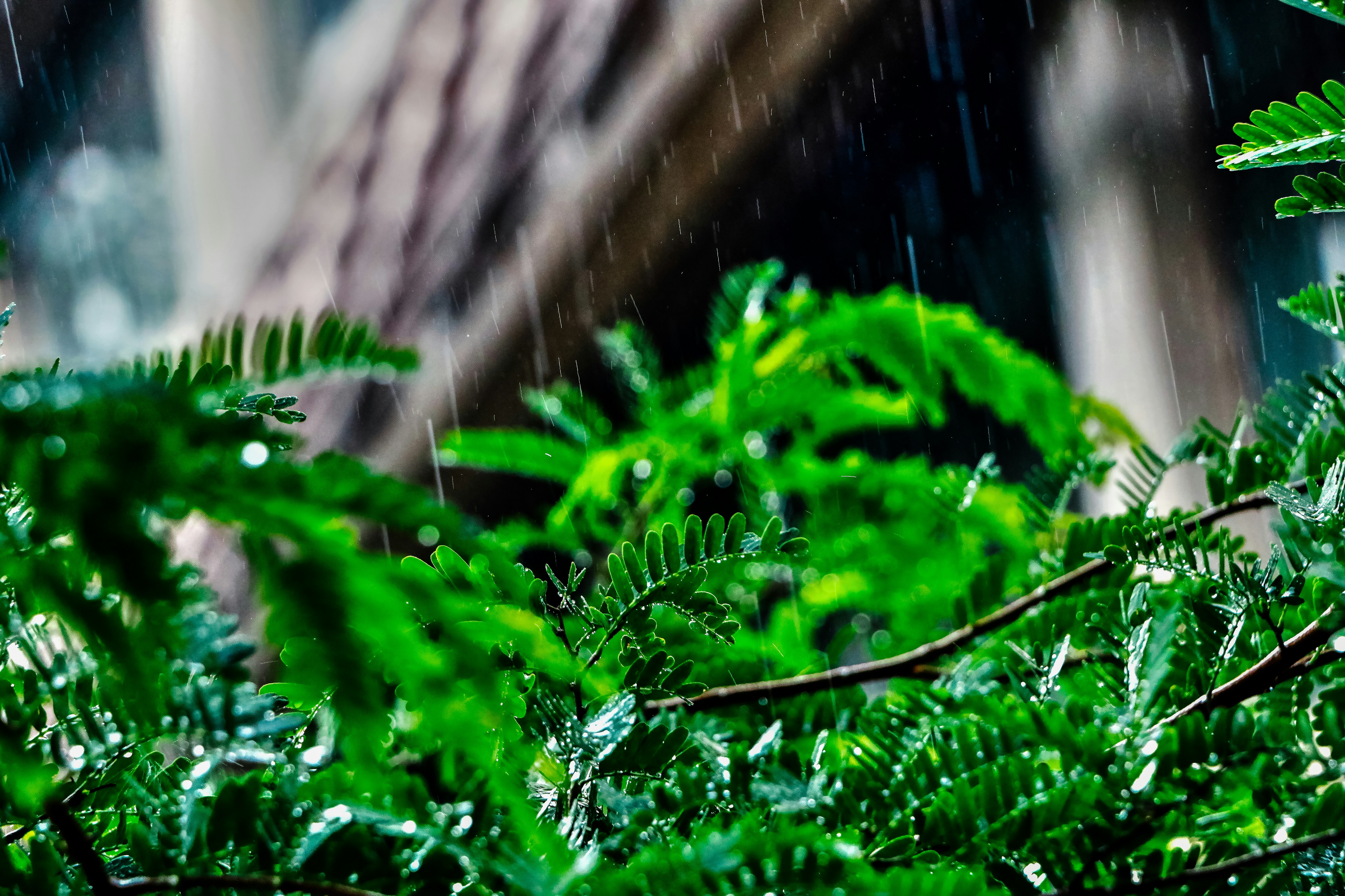 Photo by neha1301039