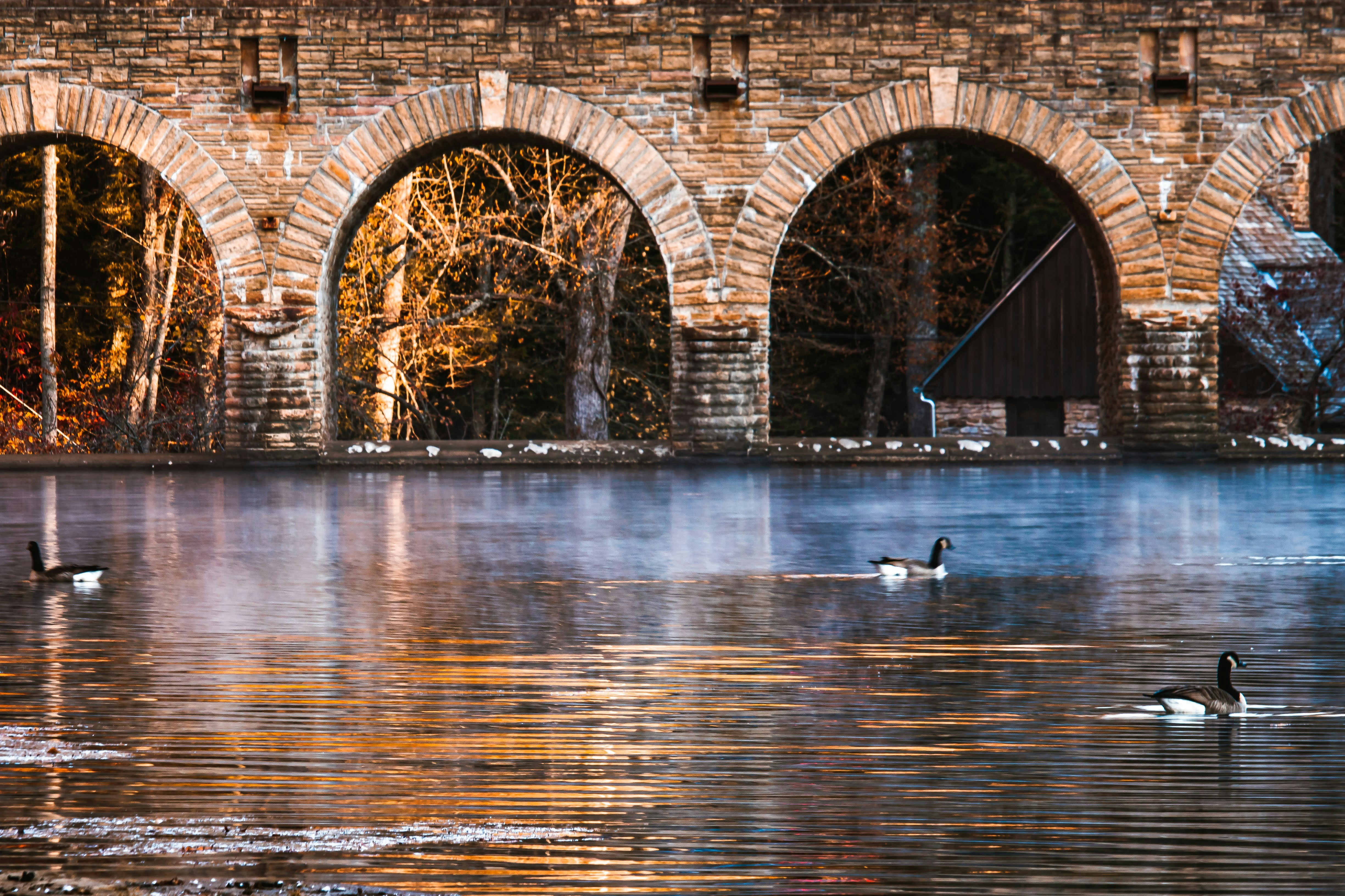 Photo by brice_cooper18