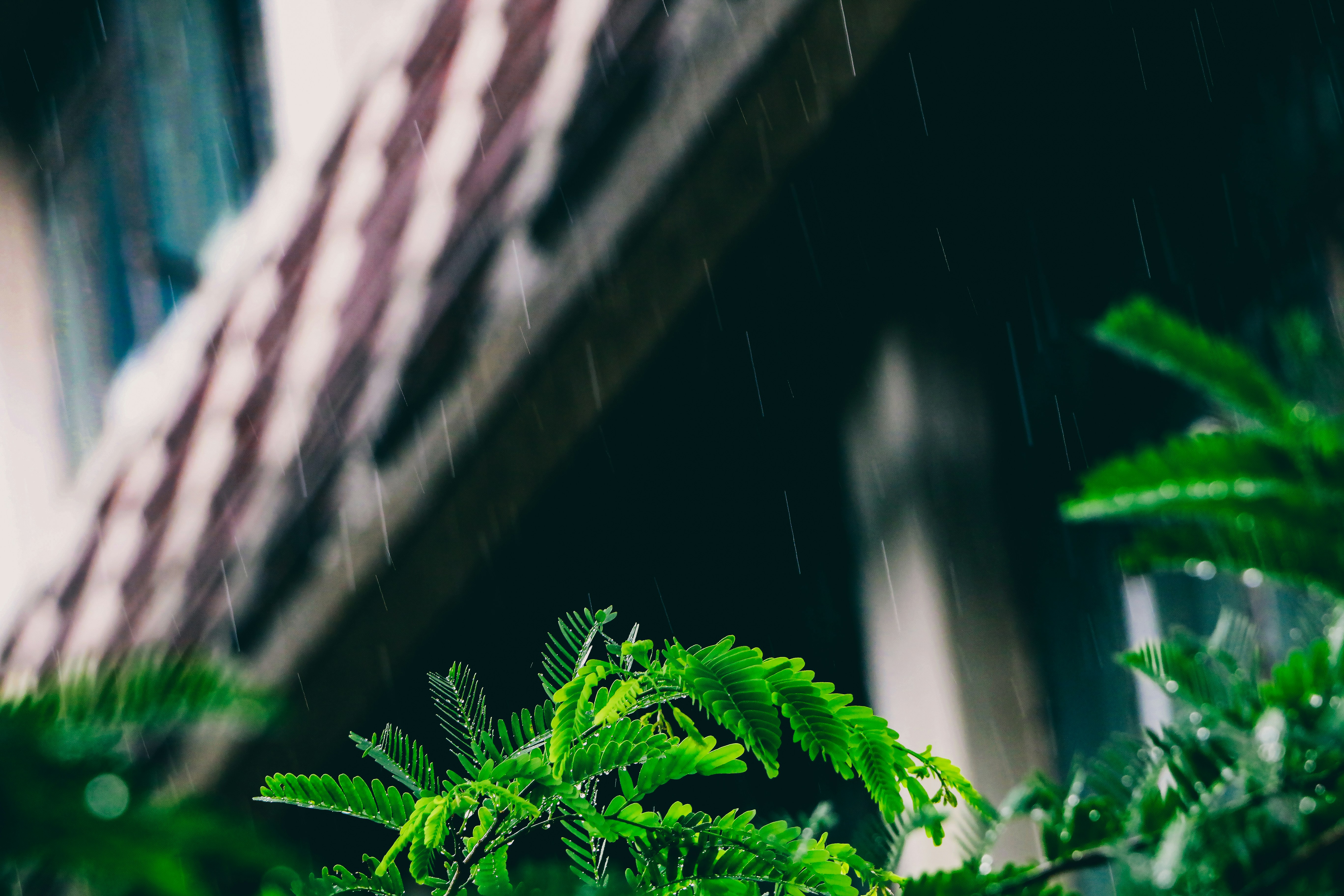 Photo by neha1301039