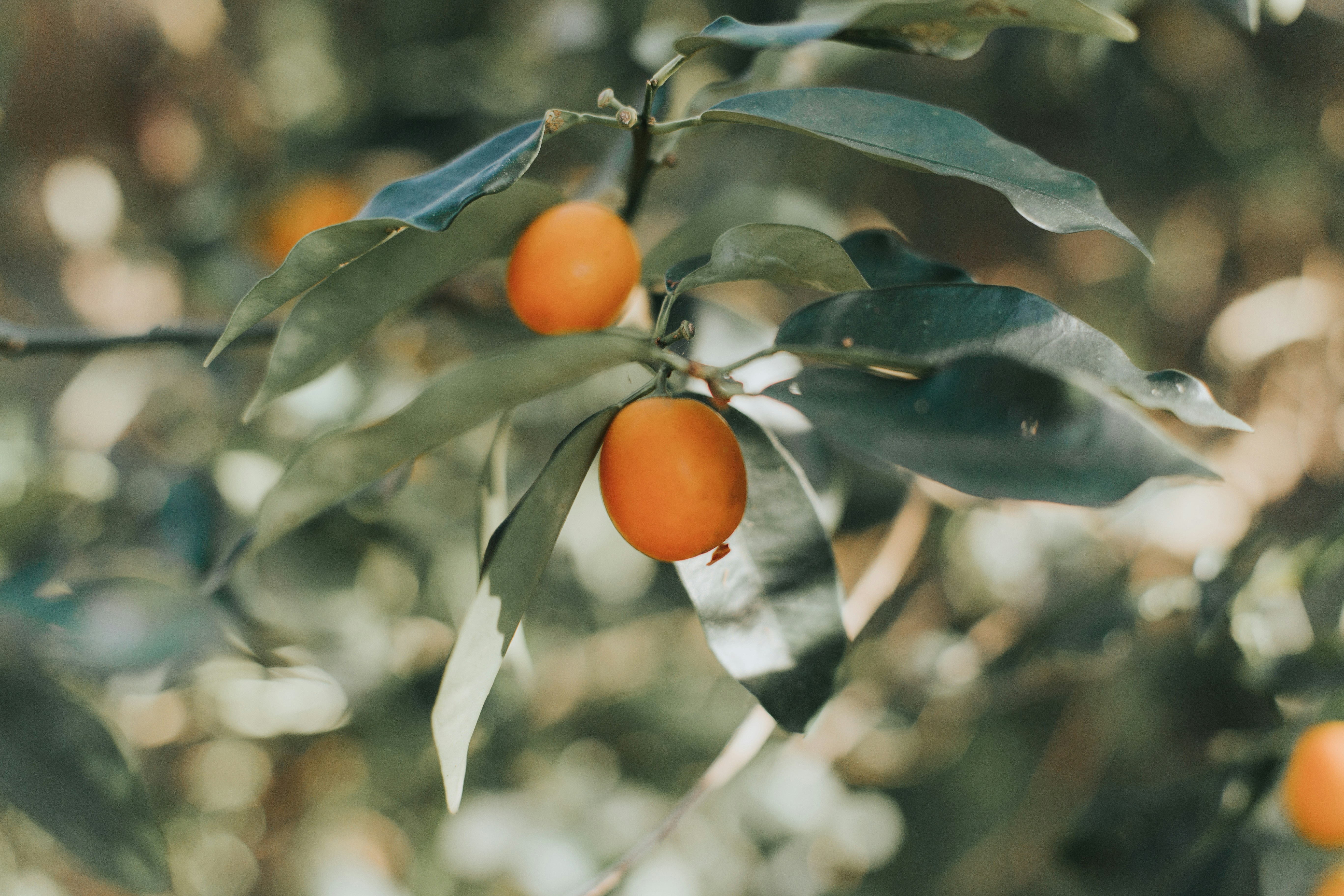 Photo by itscaitlynwilson