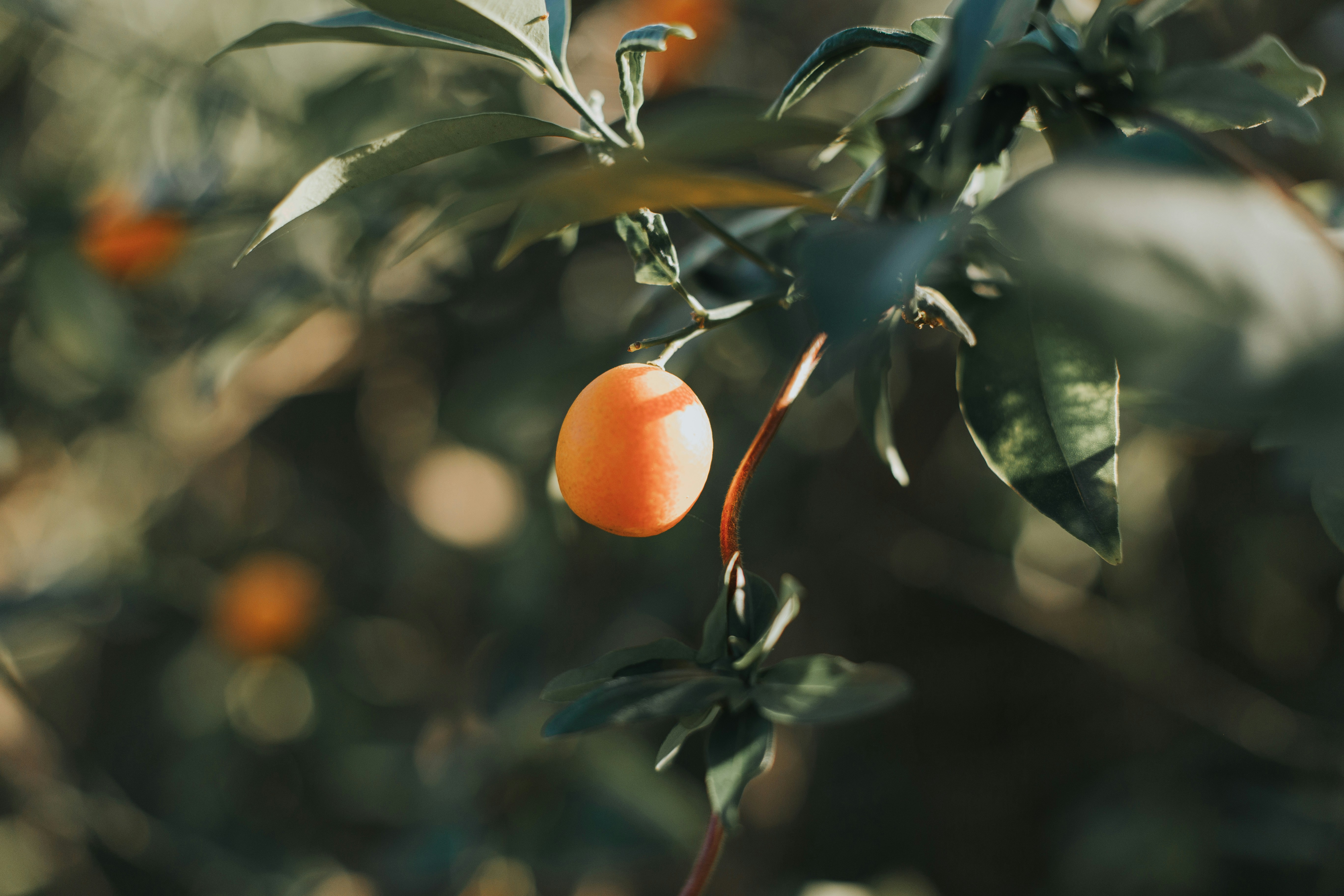 Photo by itscaitlynwilson