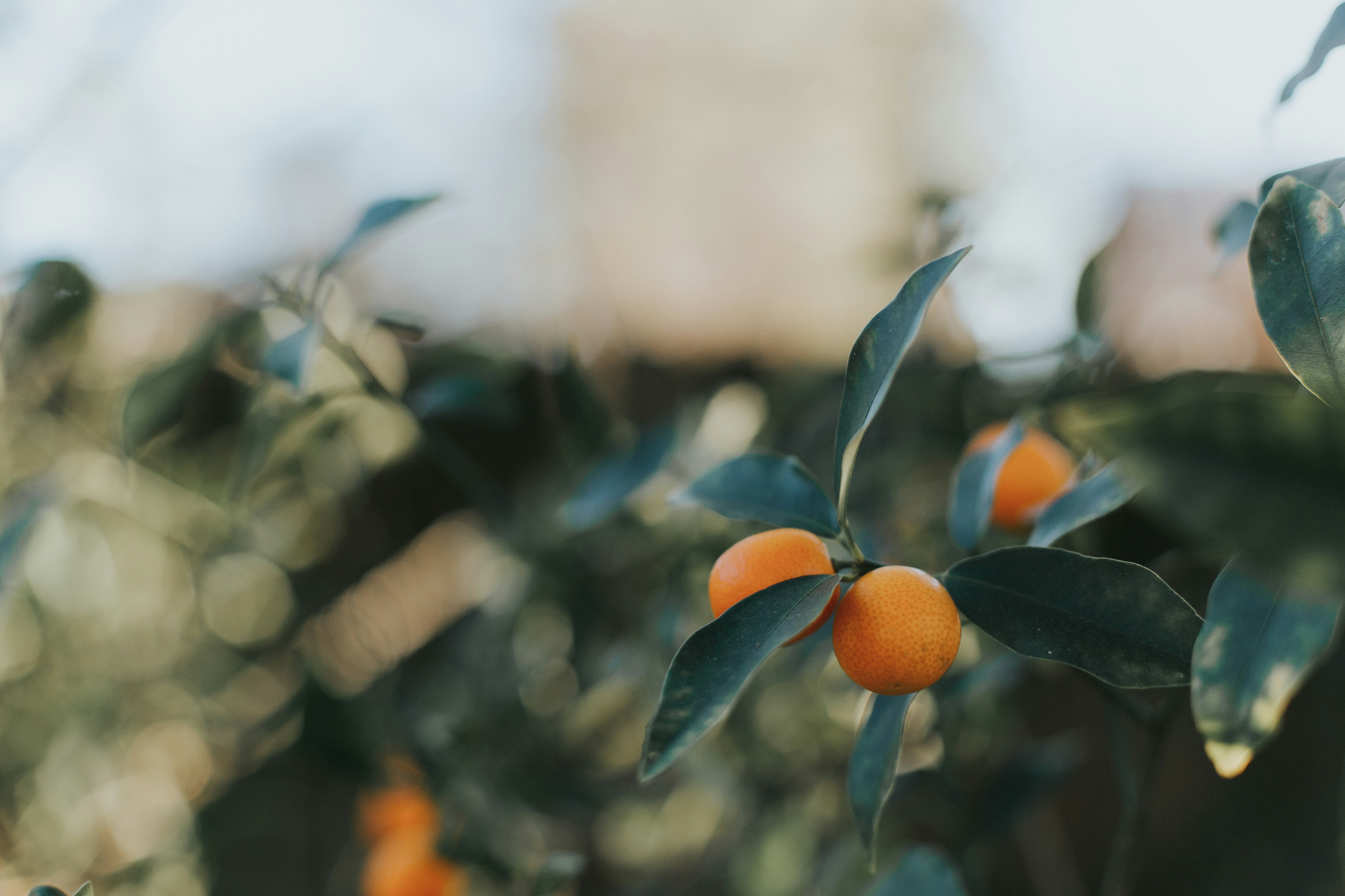 Photo by itscaitlynwilson