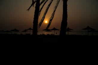 Sunset view over Playa del Carmen with a portable radio and palm trees