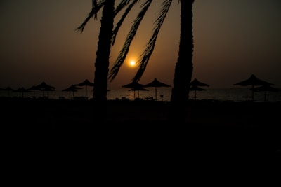Sunset view over the German Channel with silhouetted palm trees.