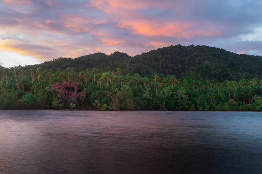 a body of water with trees and hills in the background