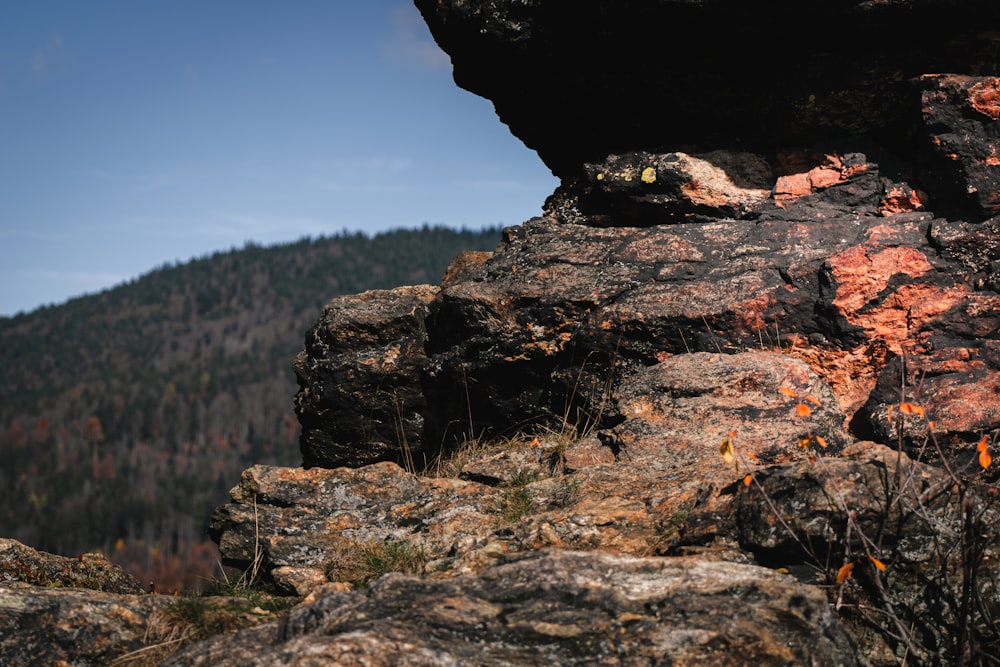 a rocky cliff with trees