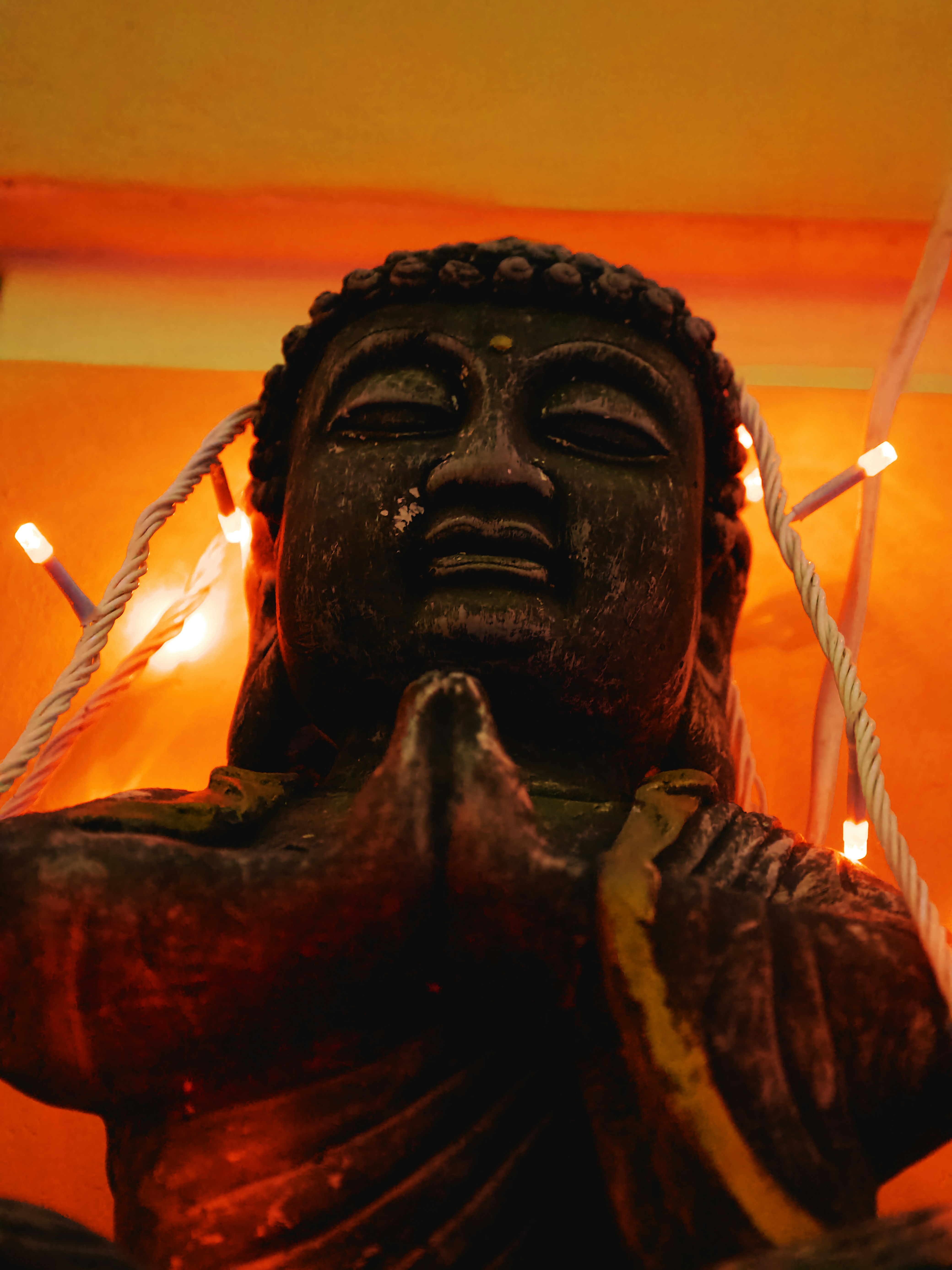 Photo by miguelalcantara