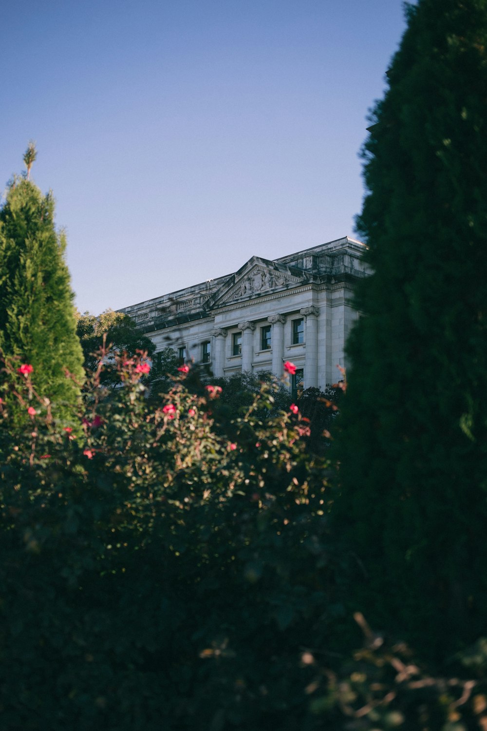 a building with a large garden in front of it