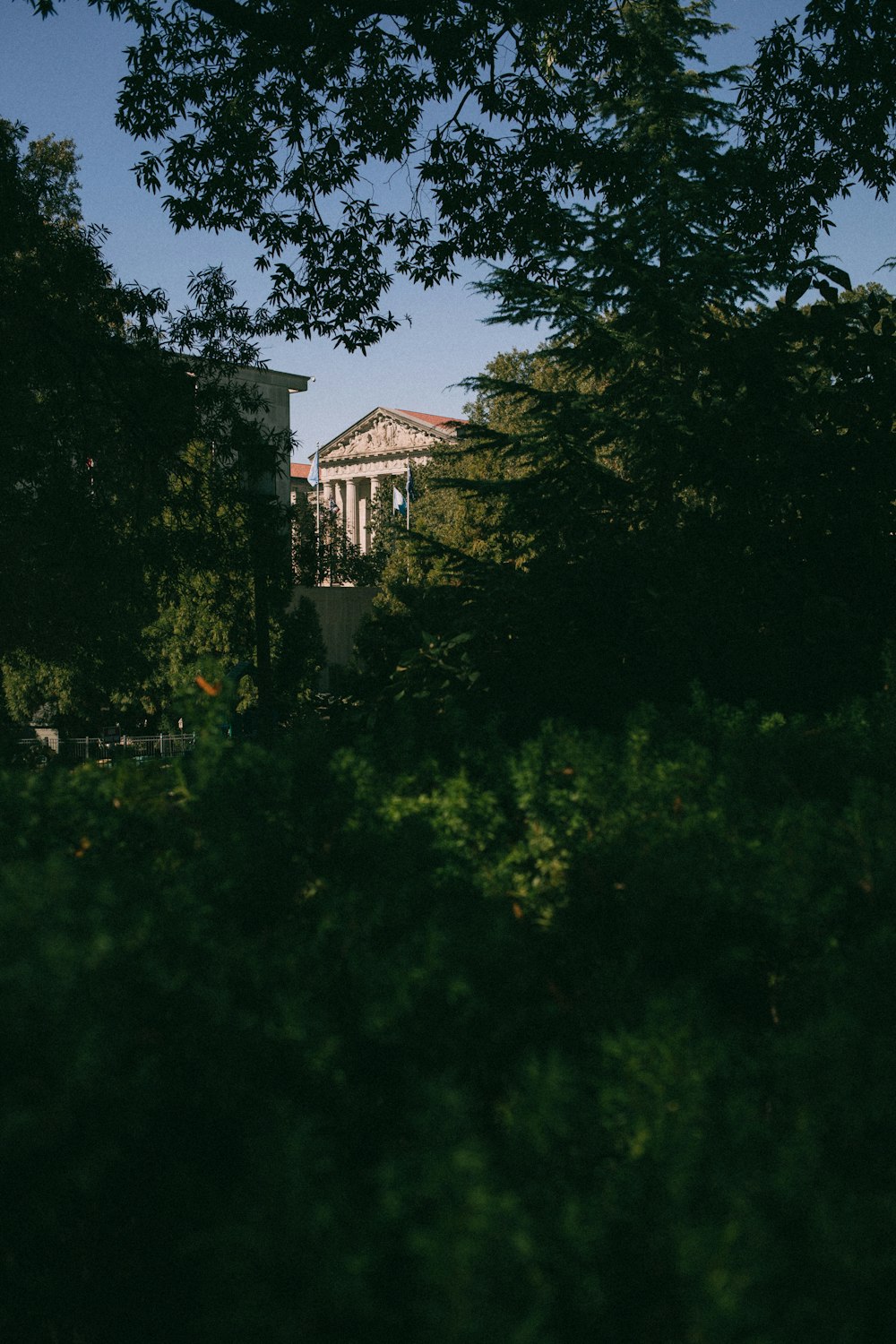 a building behind trees