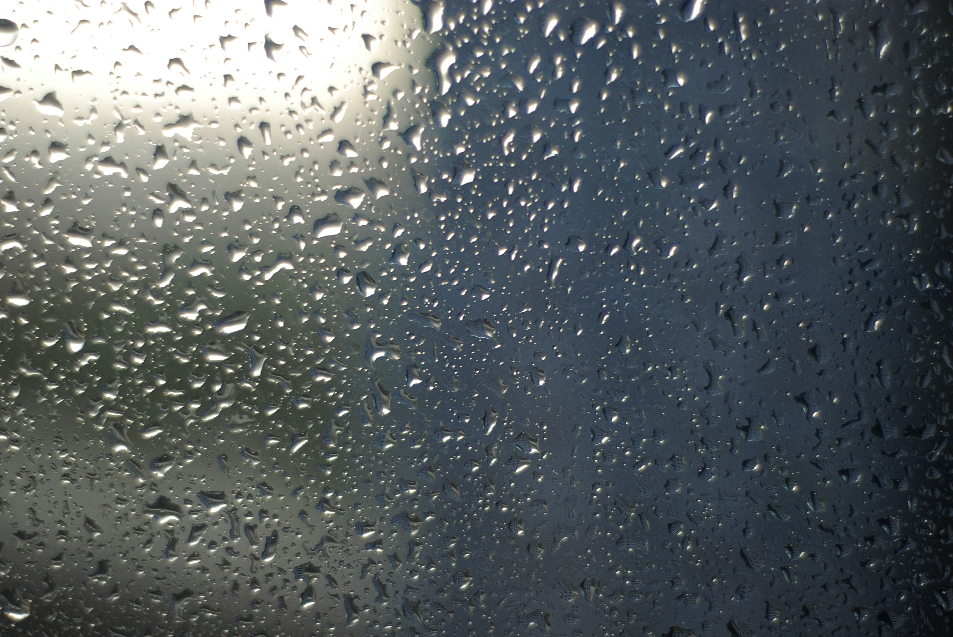 Photo by kovalskihelga