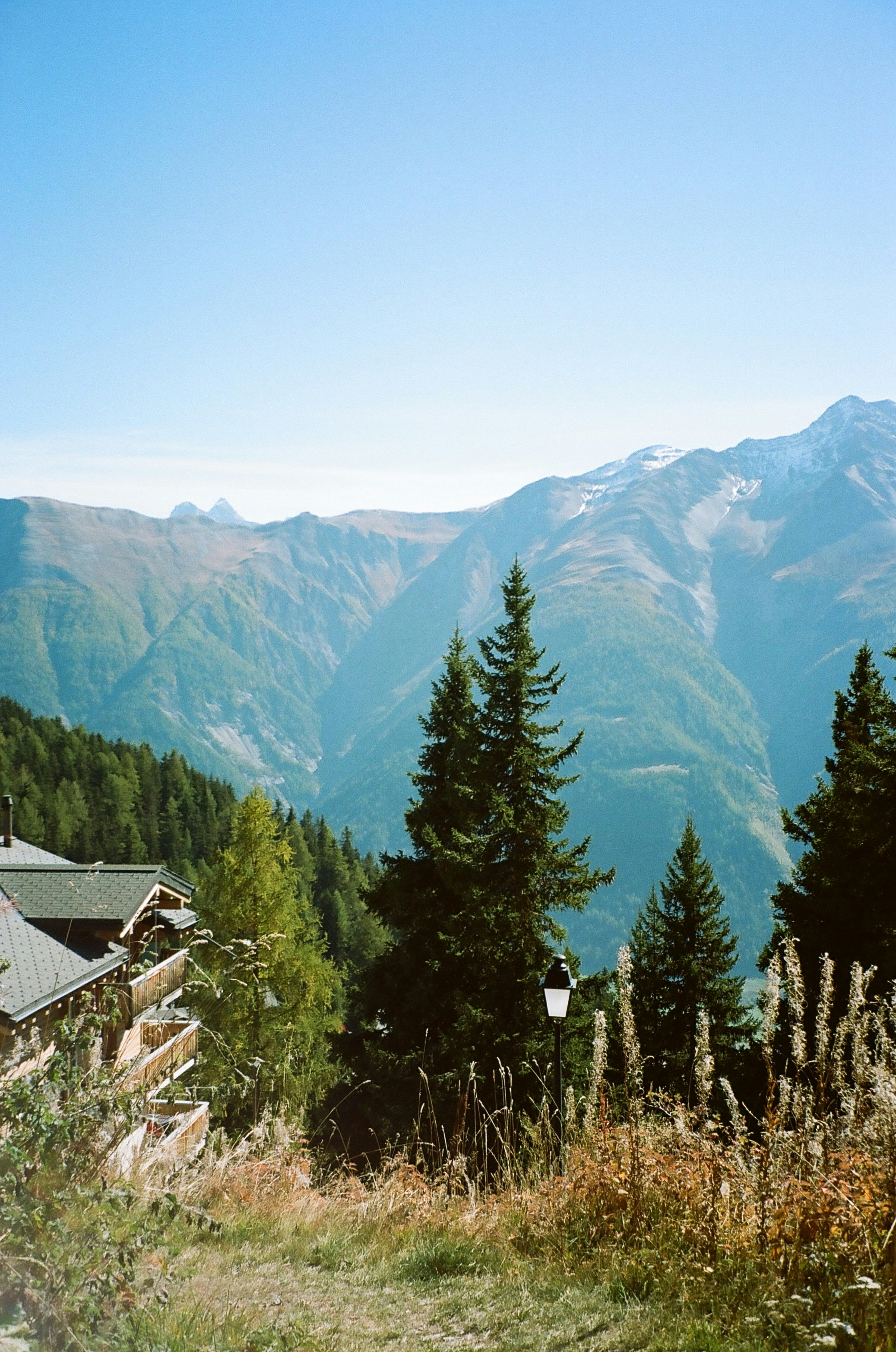 Photo by louisesophie