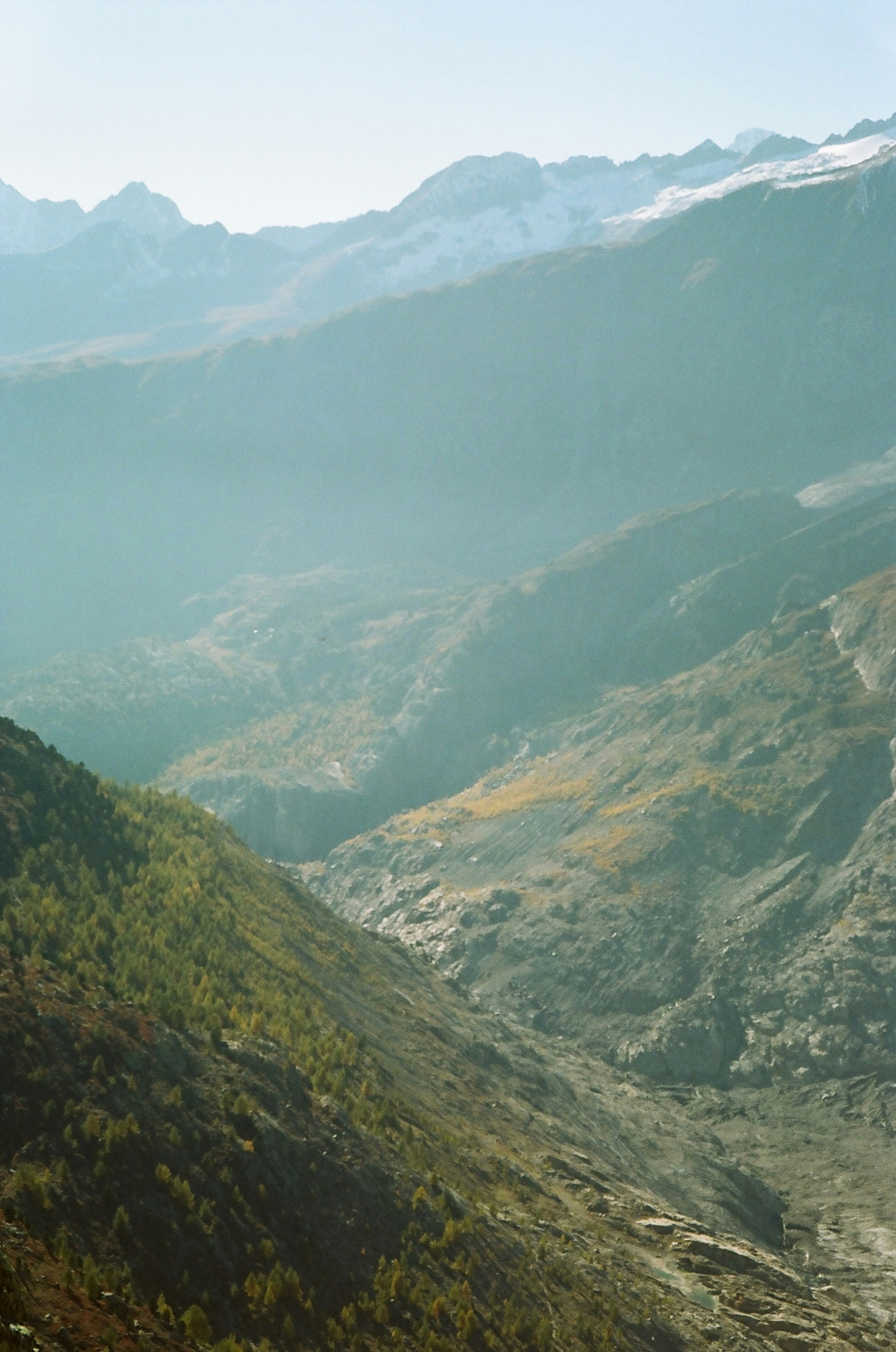 Photo by louisesophie